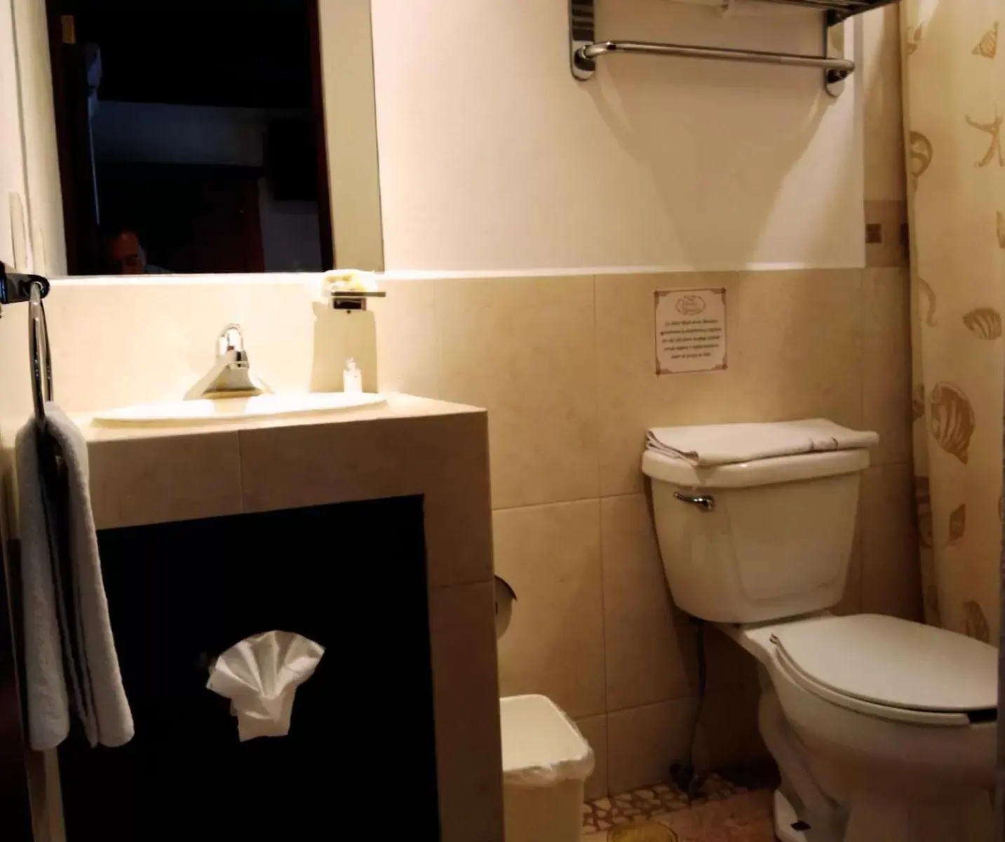 Toilet, Bathroom in Hotel Mesón de los Remedios