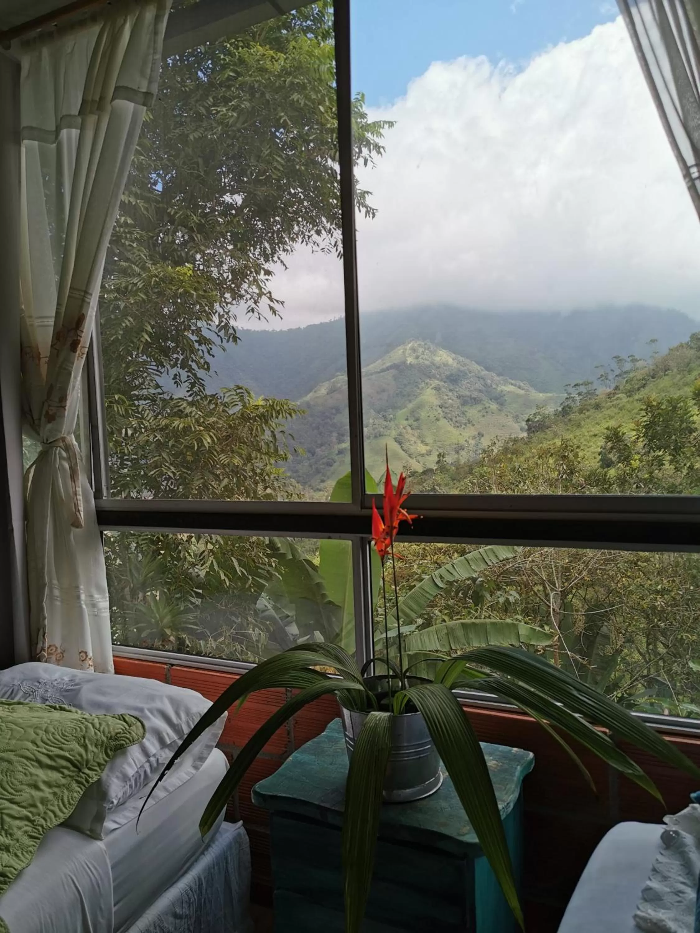 Mountain View in Hosteria Florecer