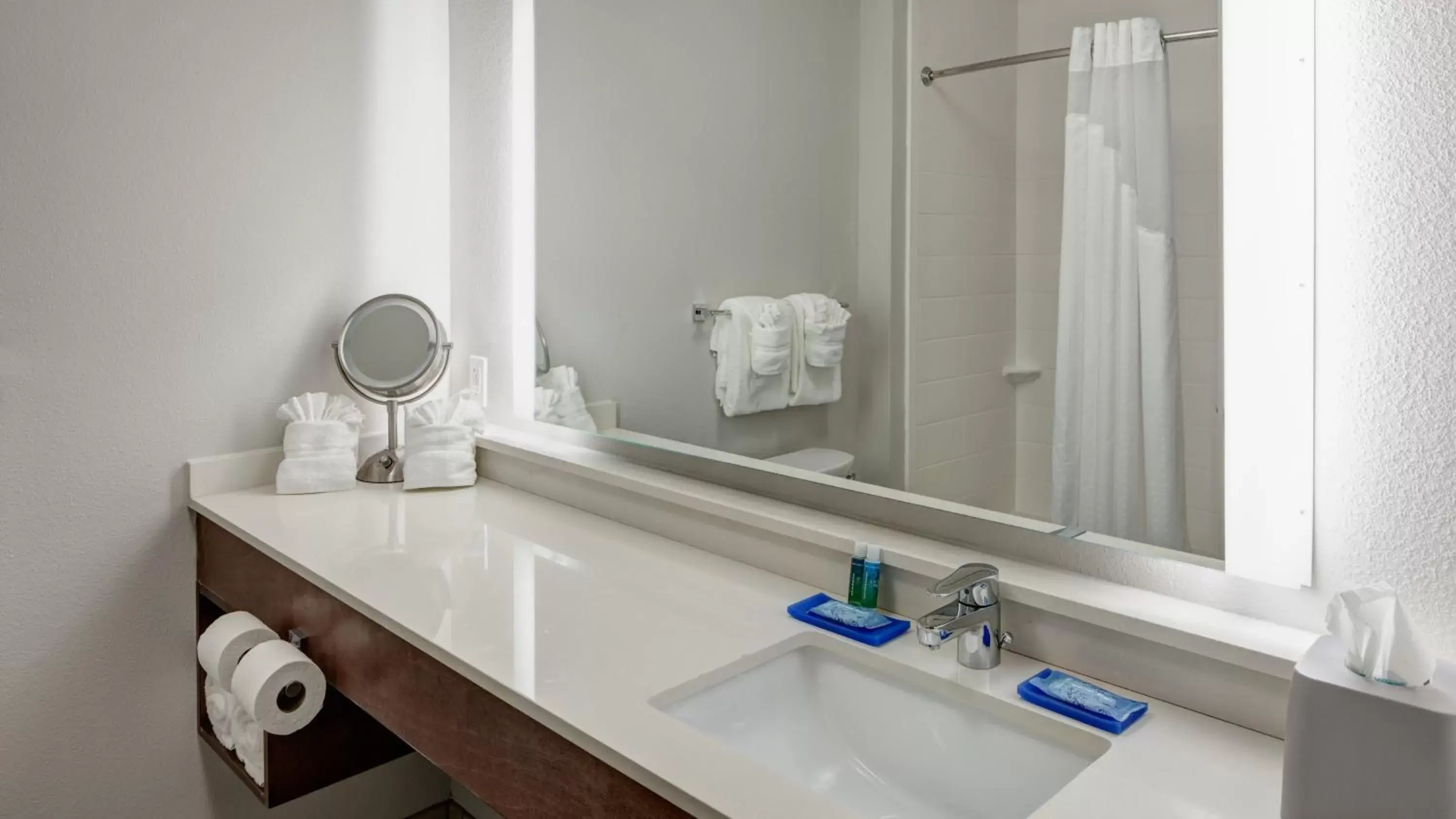 Bathroom in Holiday Inn Express & Suites - Orlando At Seaworld, an IHG Hotel