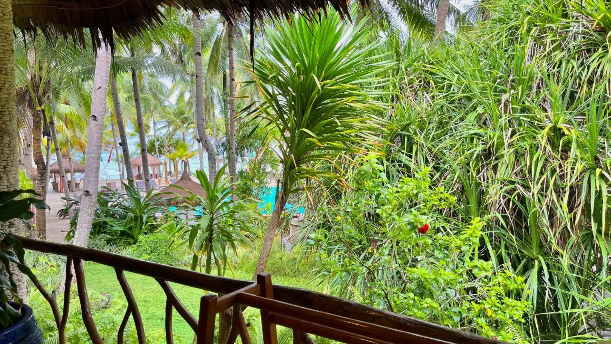 Pool View in Coco Grove Beach Resort, Siquijor Island