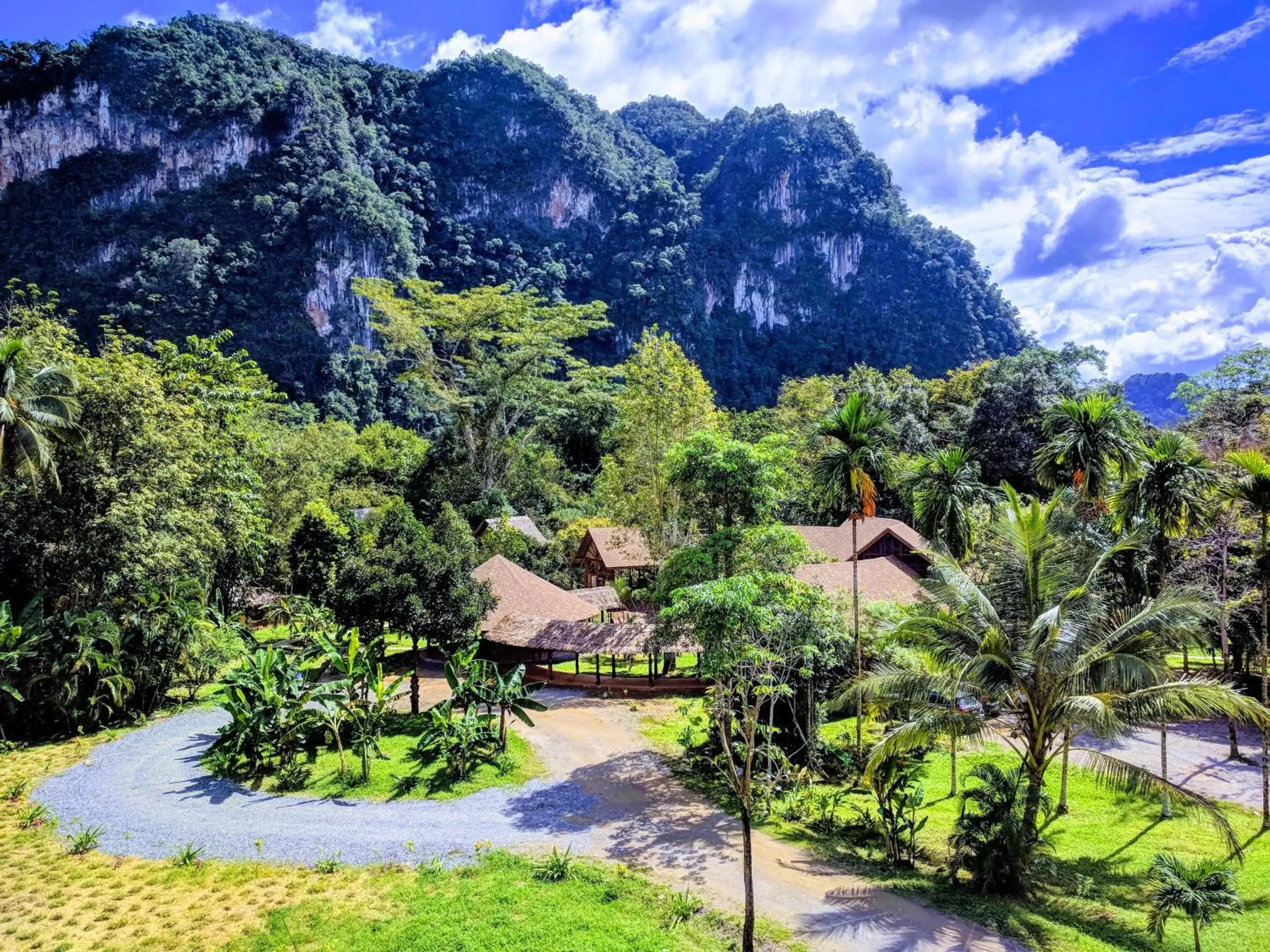 Bird's eye view, Pool View in Our Jungle Camp - Eco Resort SHA Certified