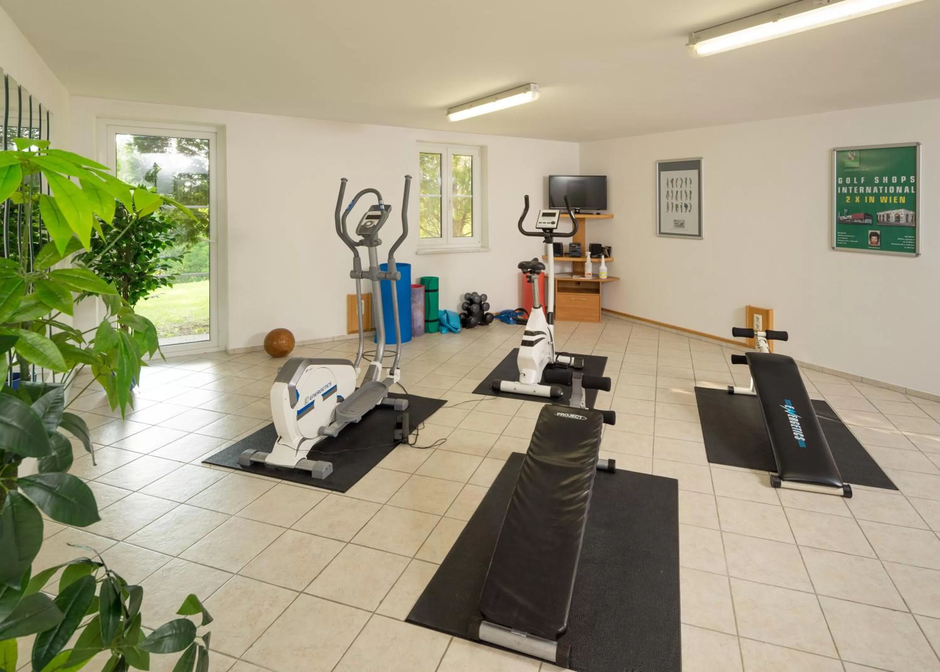 Fitness centre/facilities in Hotel Garni Oasis Loipersdorf