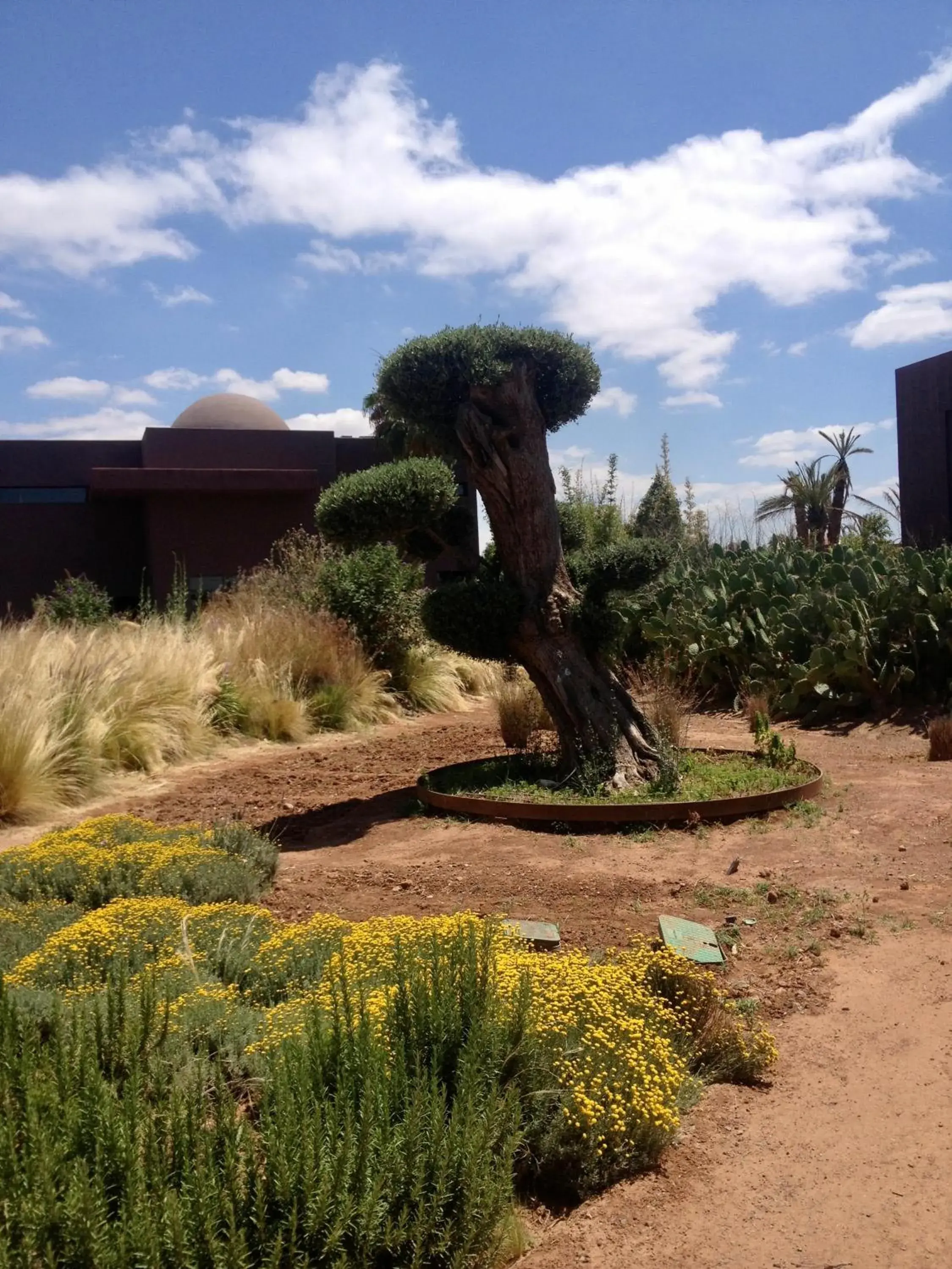 Garden in Fellah Hotel