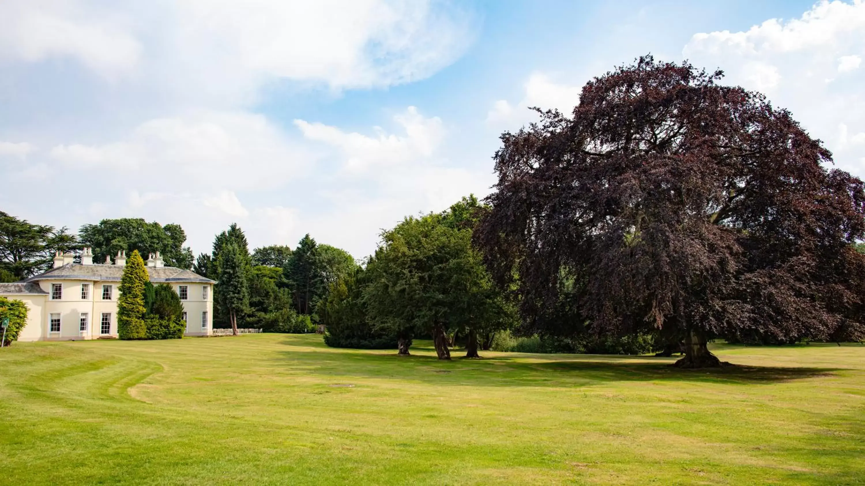 Garden, Property Building in Eastwood Hall