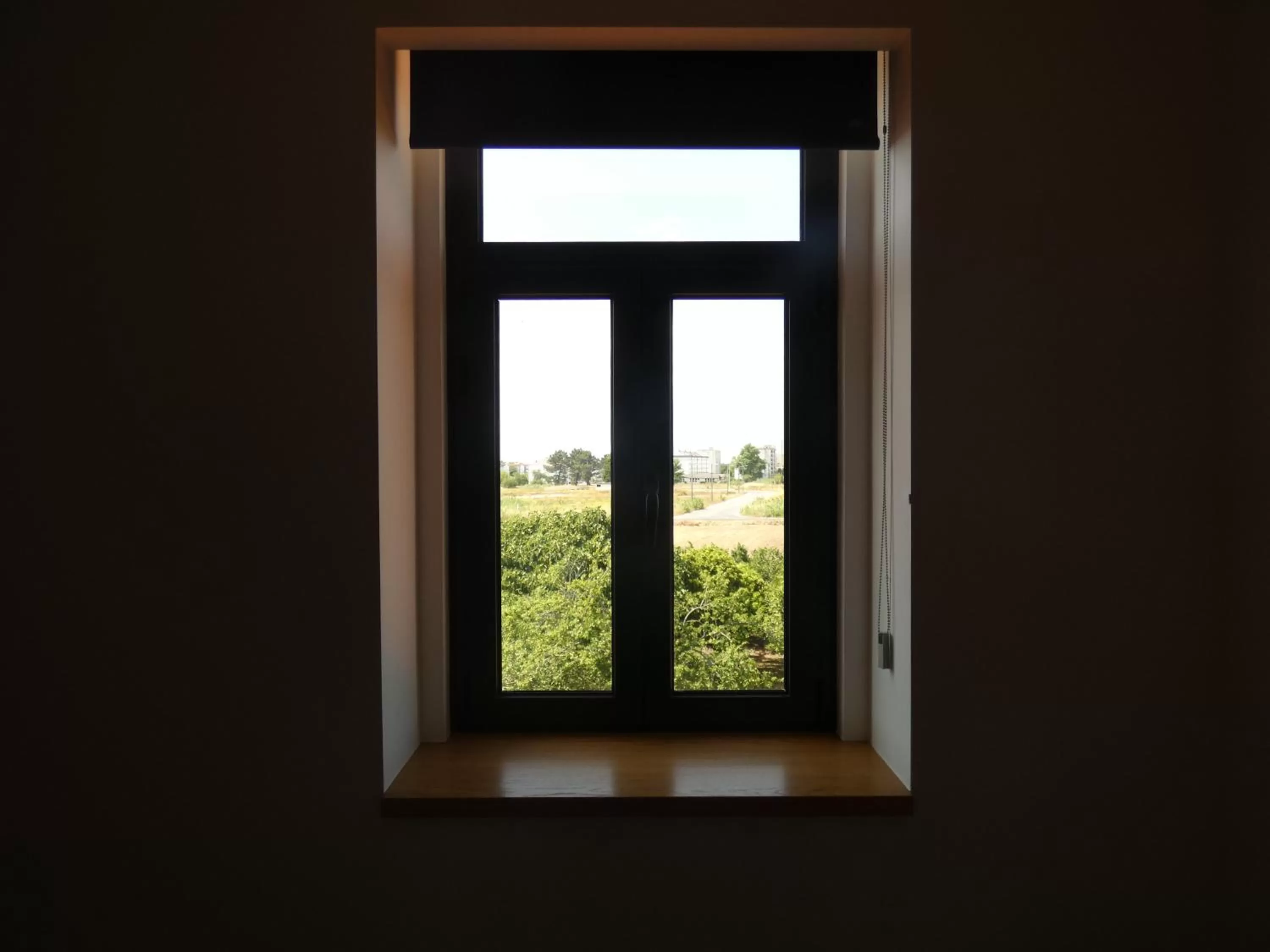 View (from property/room) in Pinhal Litoral