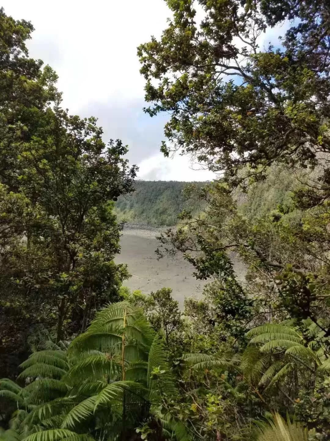 Hiking in Volcano Forest Inn