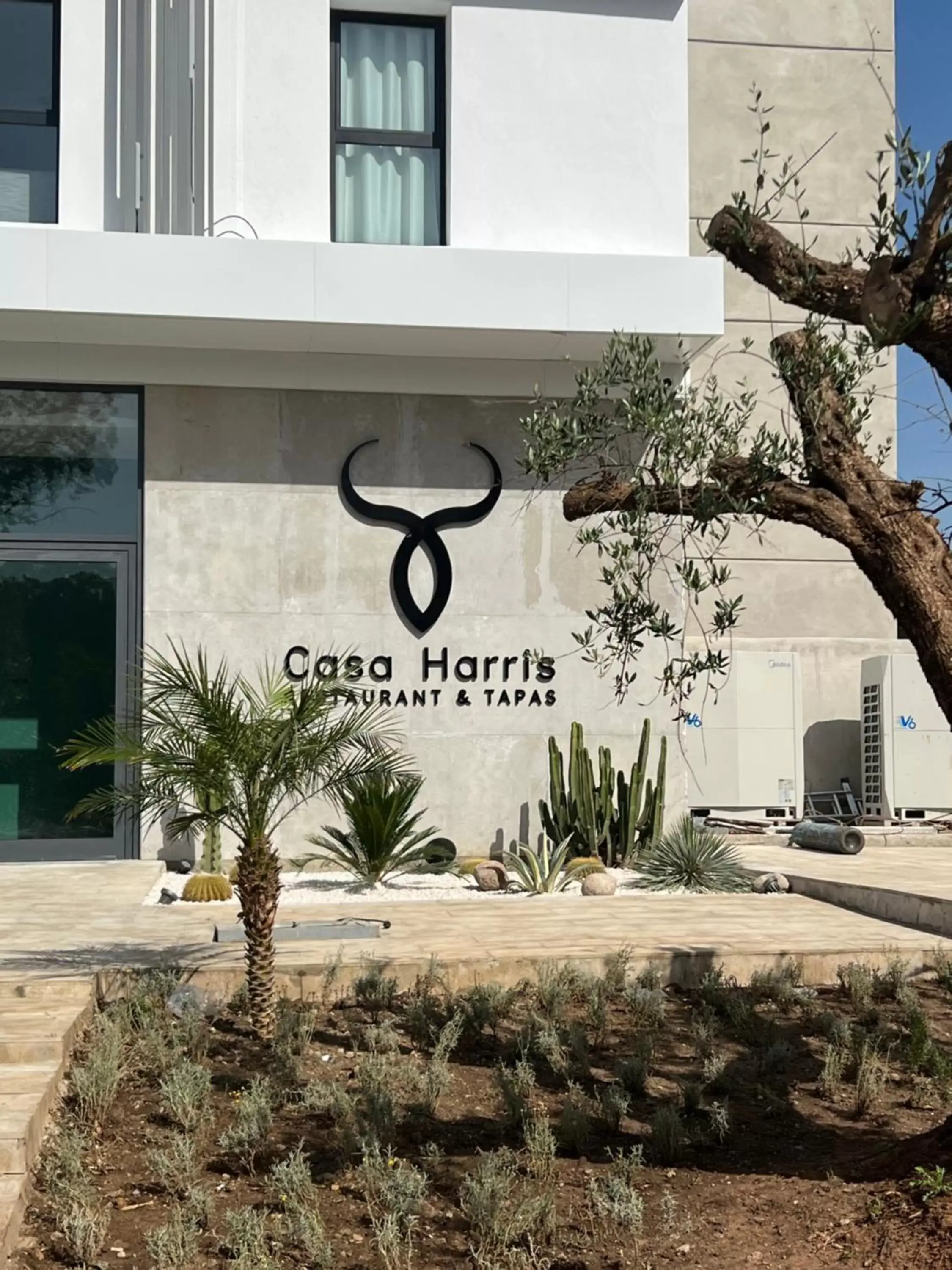 Restaurant/places to eat in Occidental Tanger Restaurant/places to eat in Occidental Tanger