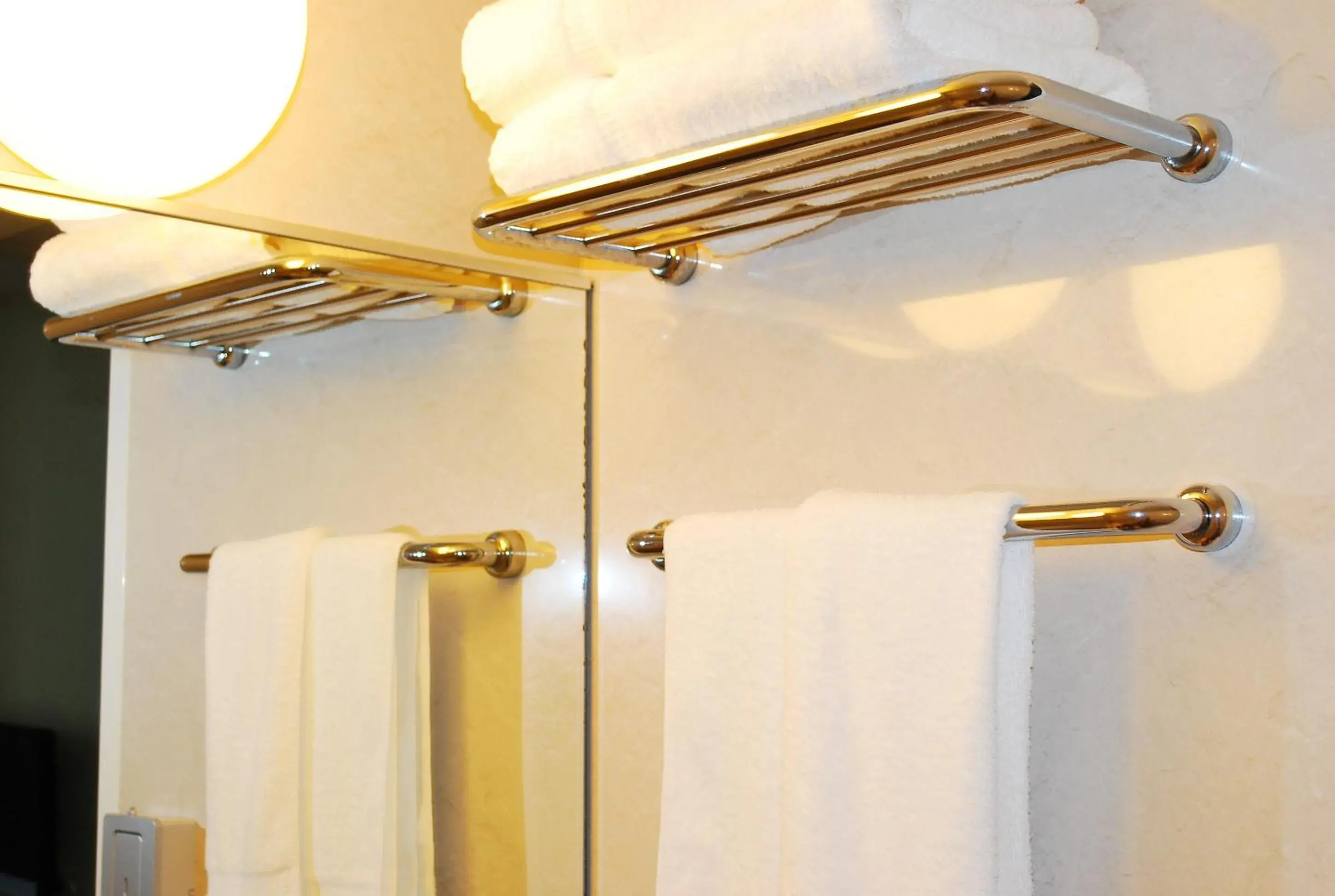 Shower, Bathroom in Ginza Grand Hotel