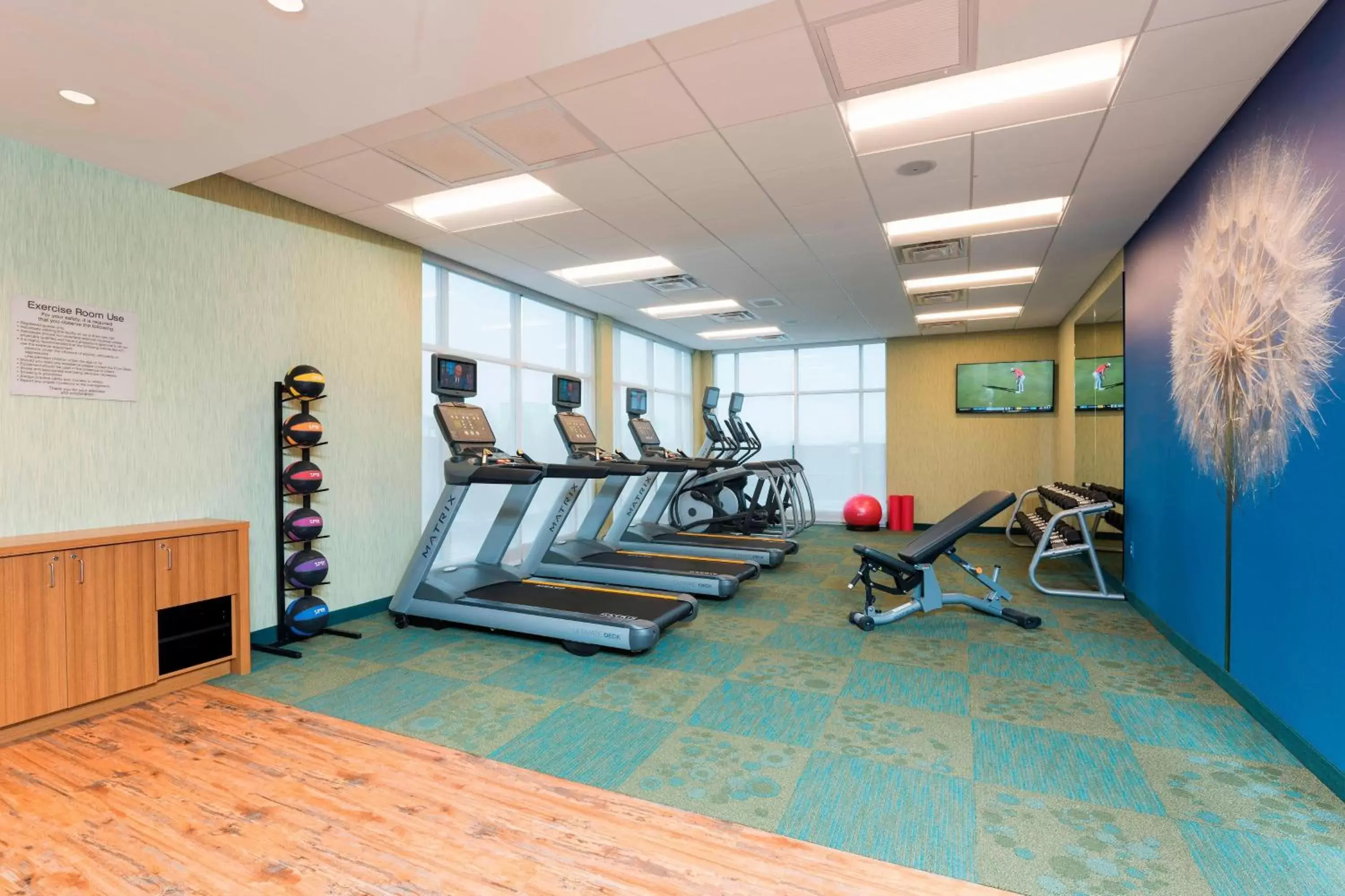 Fitness centre/facilities, Fitness Center/Facilities in SpringHill Suites by Marriott Chicago Southeast/Munster, IN