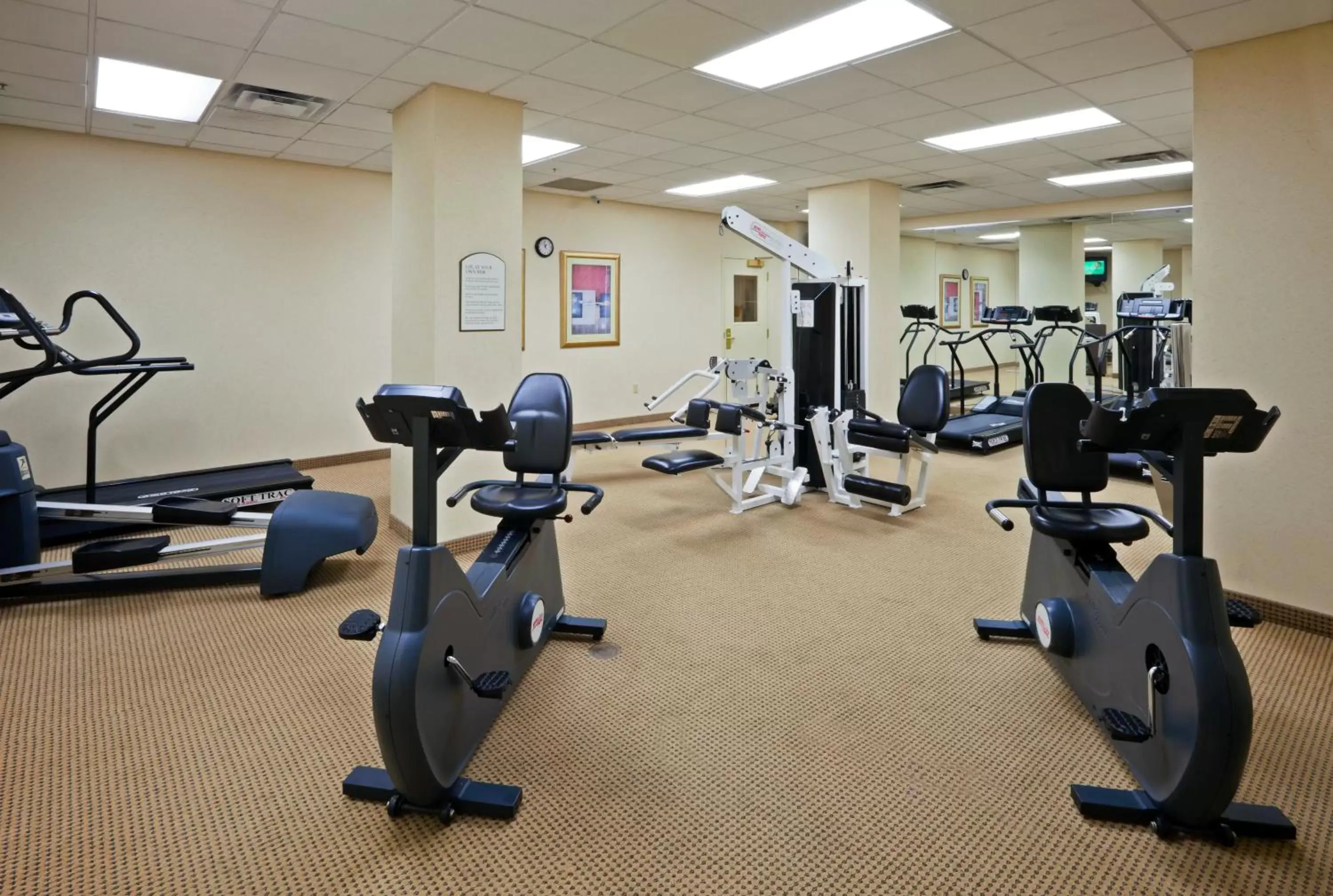 Fitness centre/facilities, Fitness Center/Facilities in Holiday Inn Chantilly-Dulles Expo Airport, an IHG Hotel