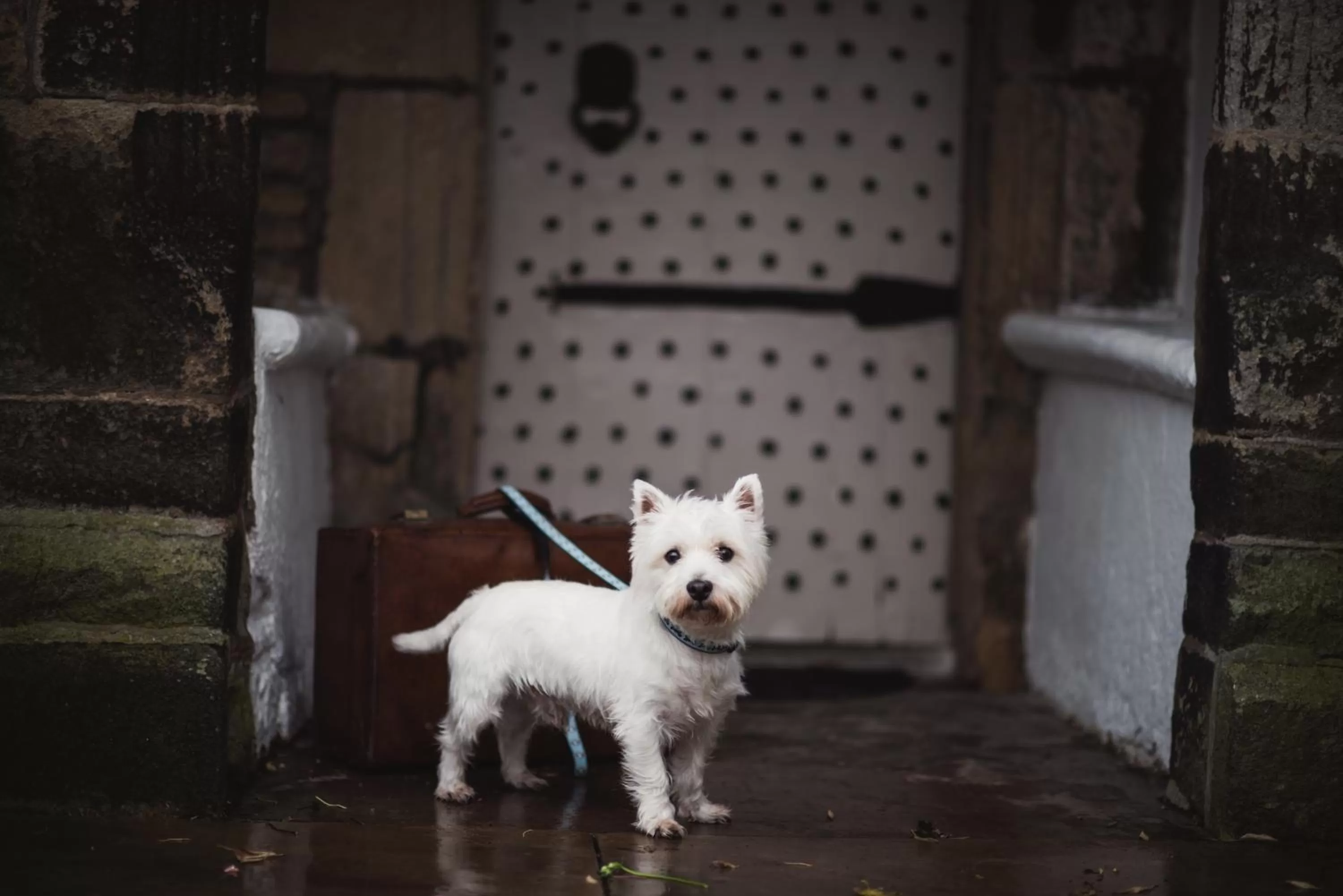 Patio in Holdsworth House Hotel