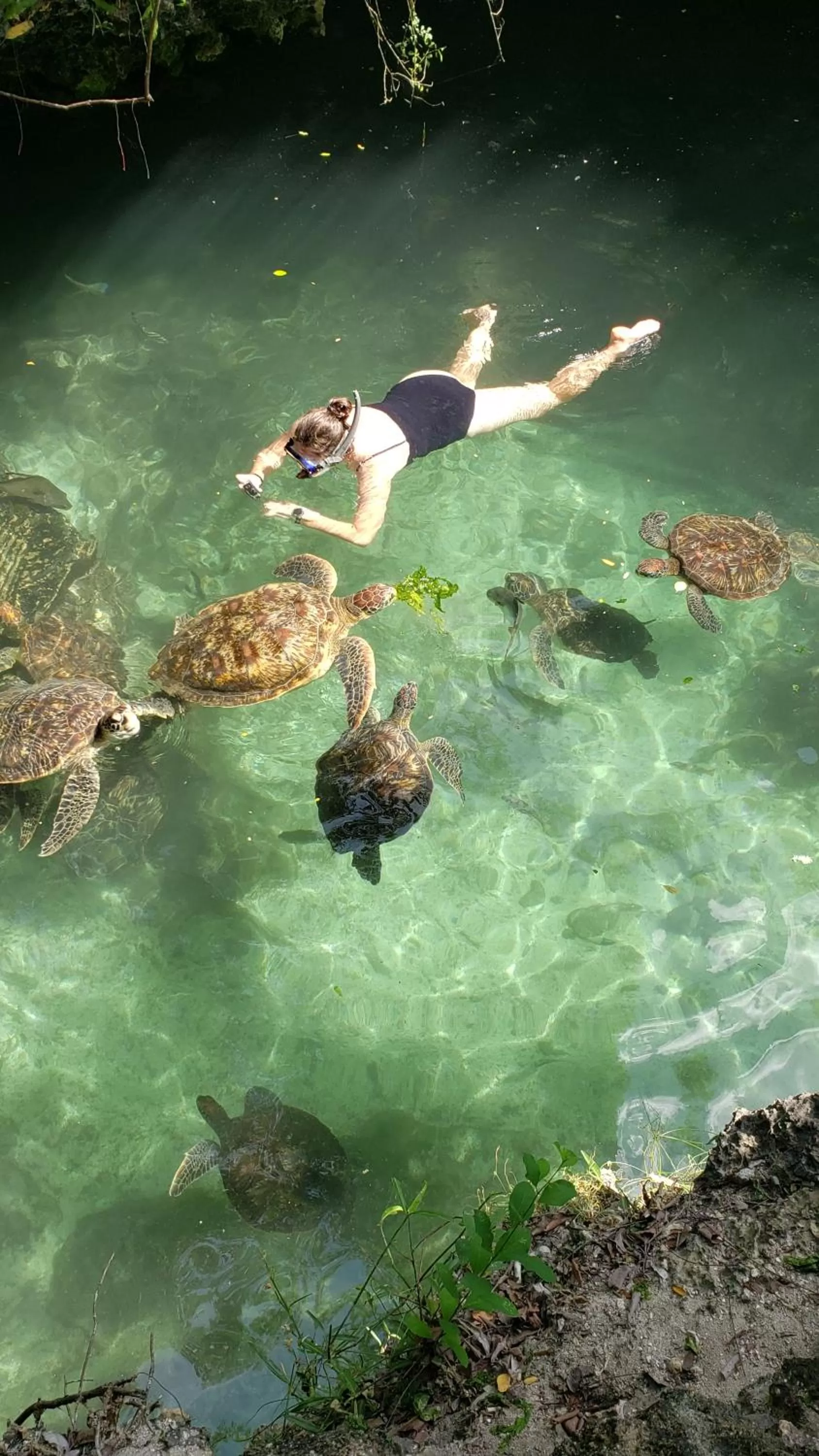 Baraka Aquarium Bungalows