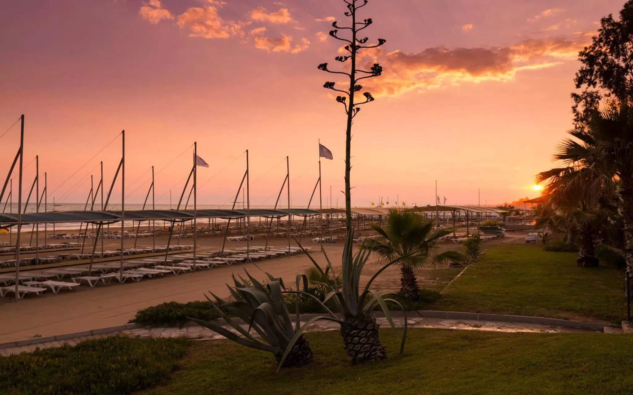 Summer in Hotel Terrace Beach Resort All Inclusive