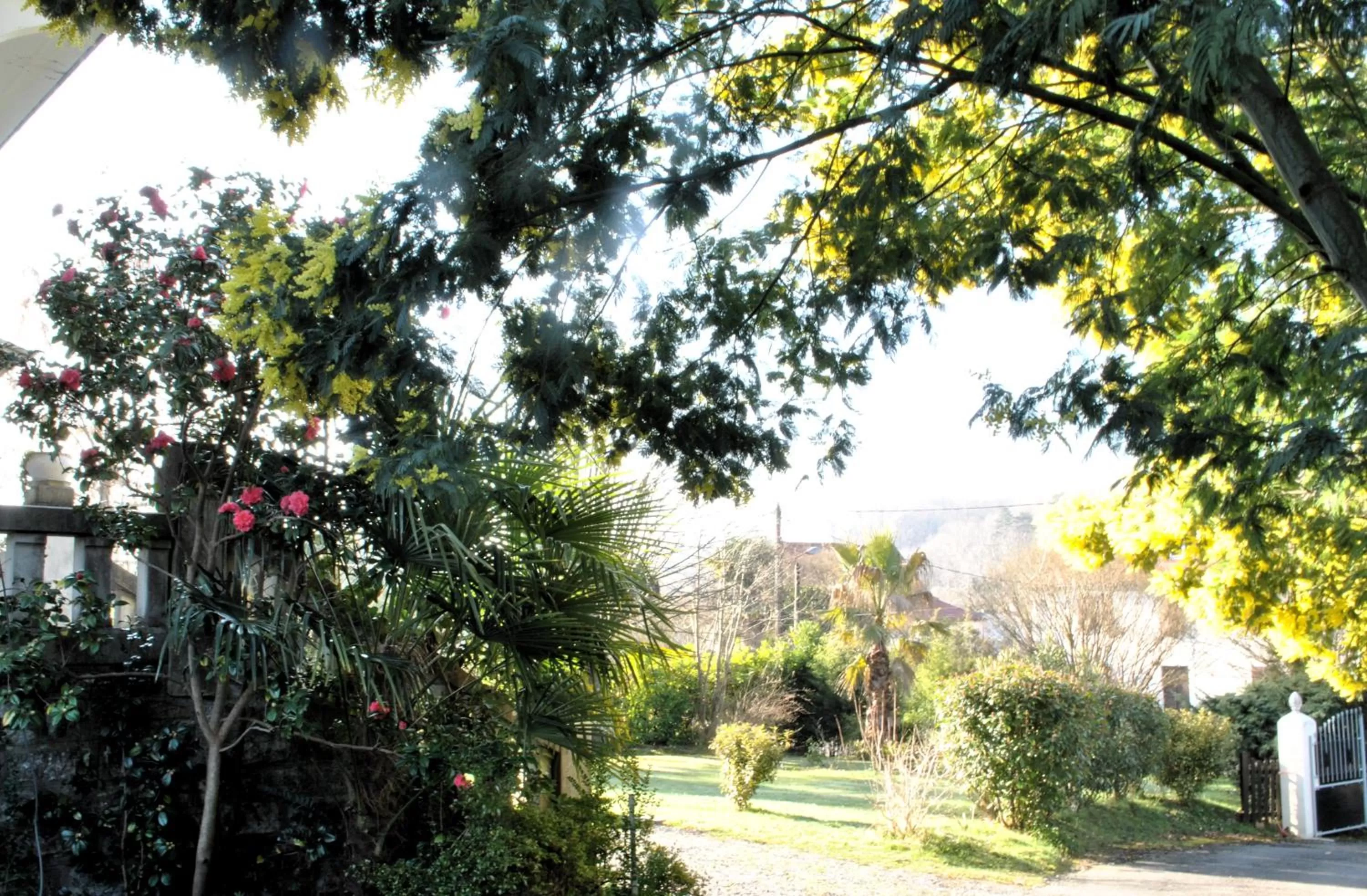 Garden view in Villa Hortebise