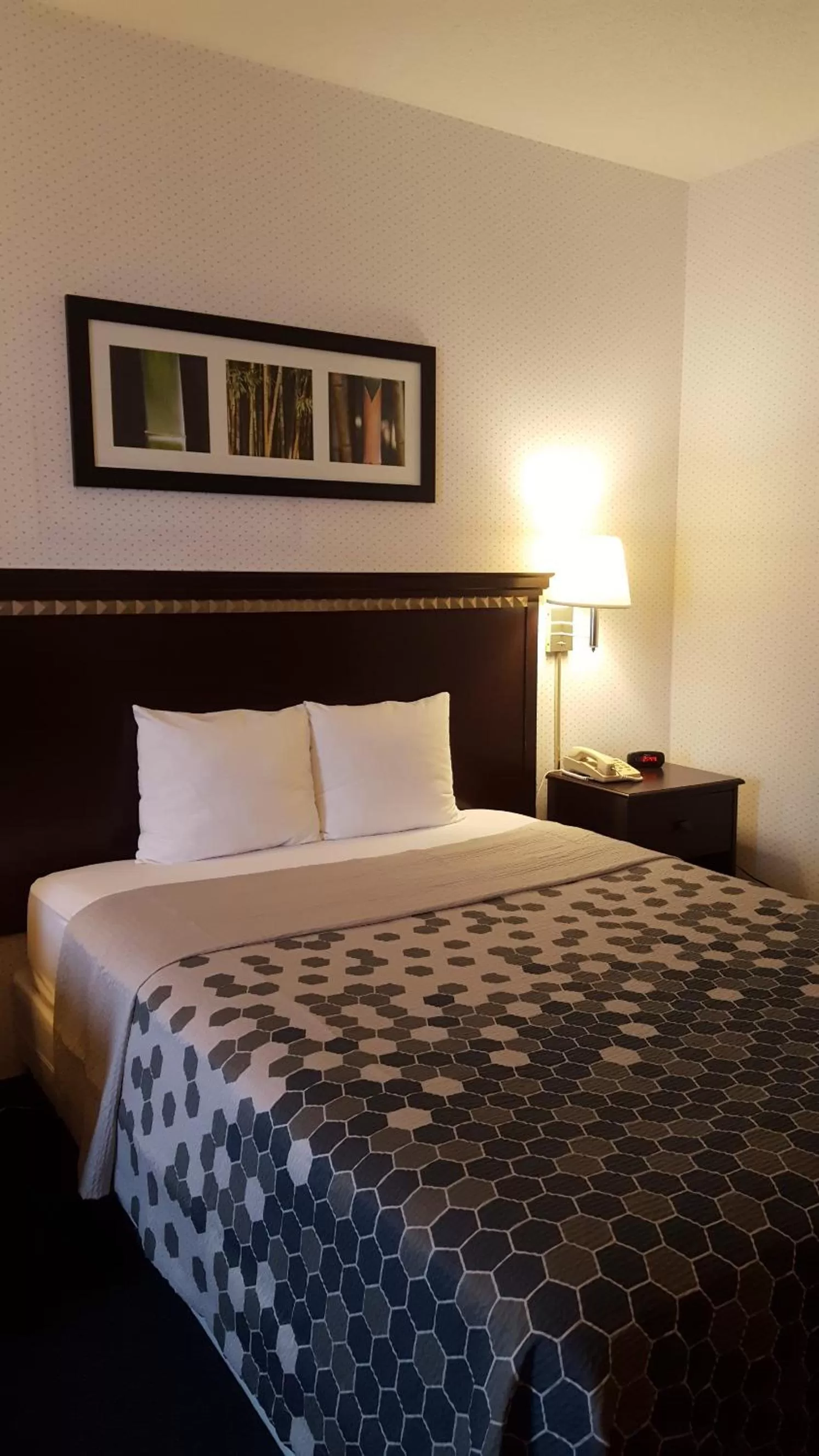 Bed in Rodeway Inn Urbana Champaign University Area