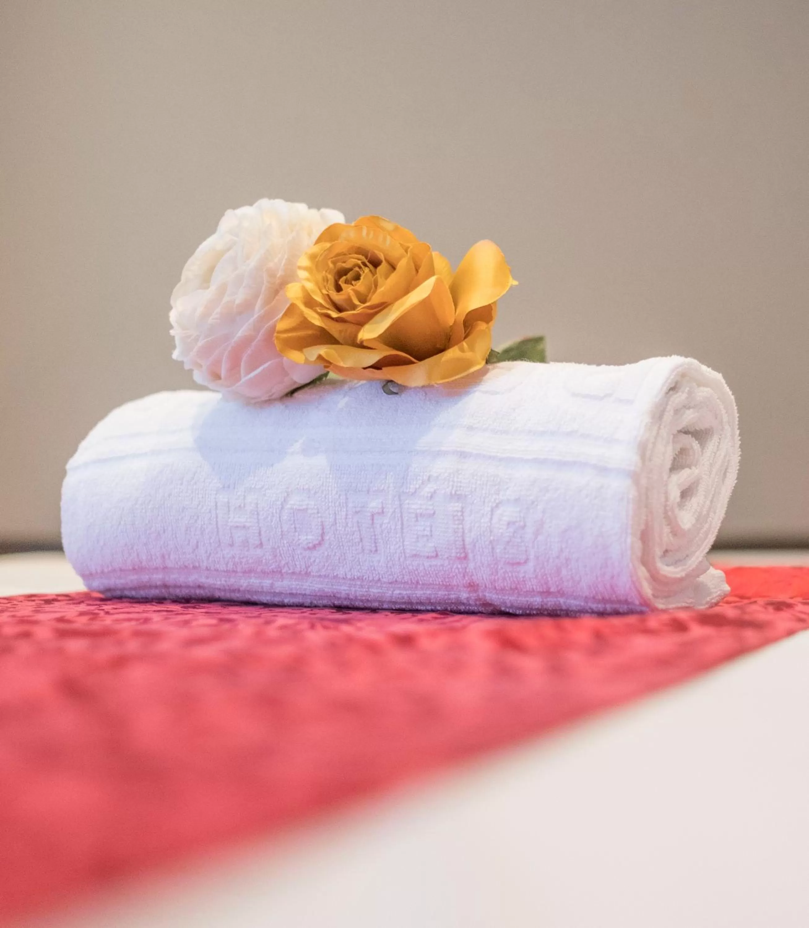 Massage in Vila Gale Porto - Centro