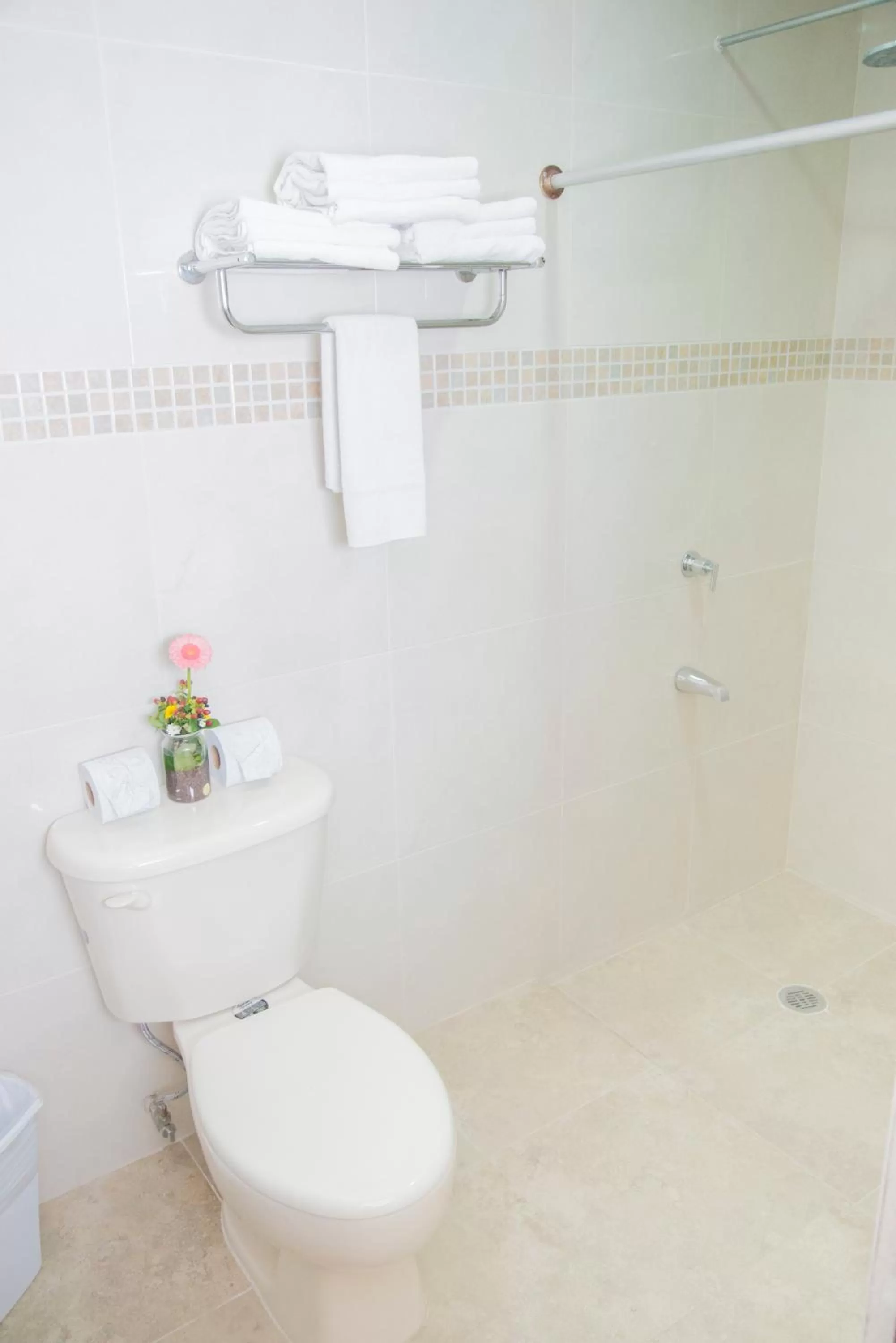 Toilet in Maison del Embajador