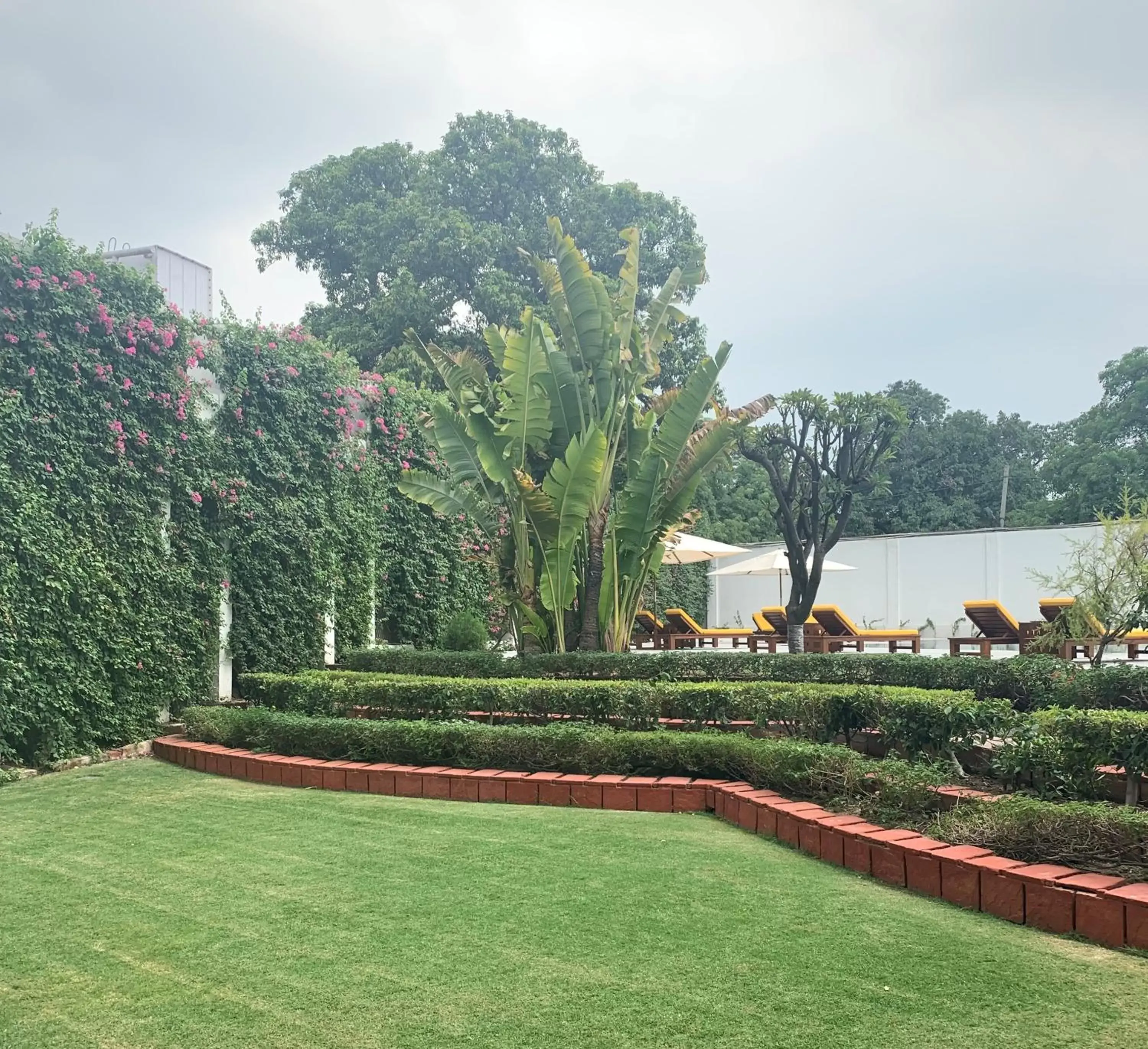 Garden in Maidens Hotel New Delhi