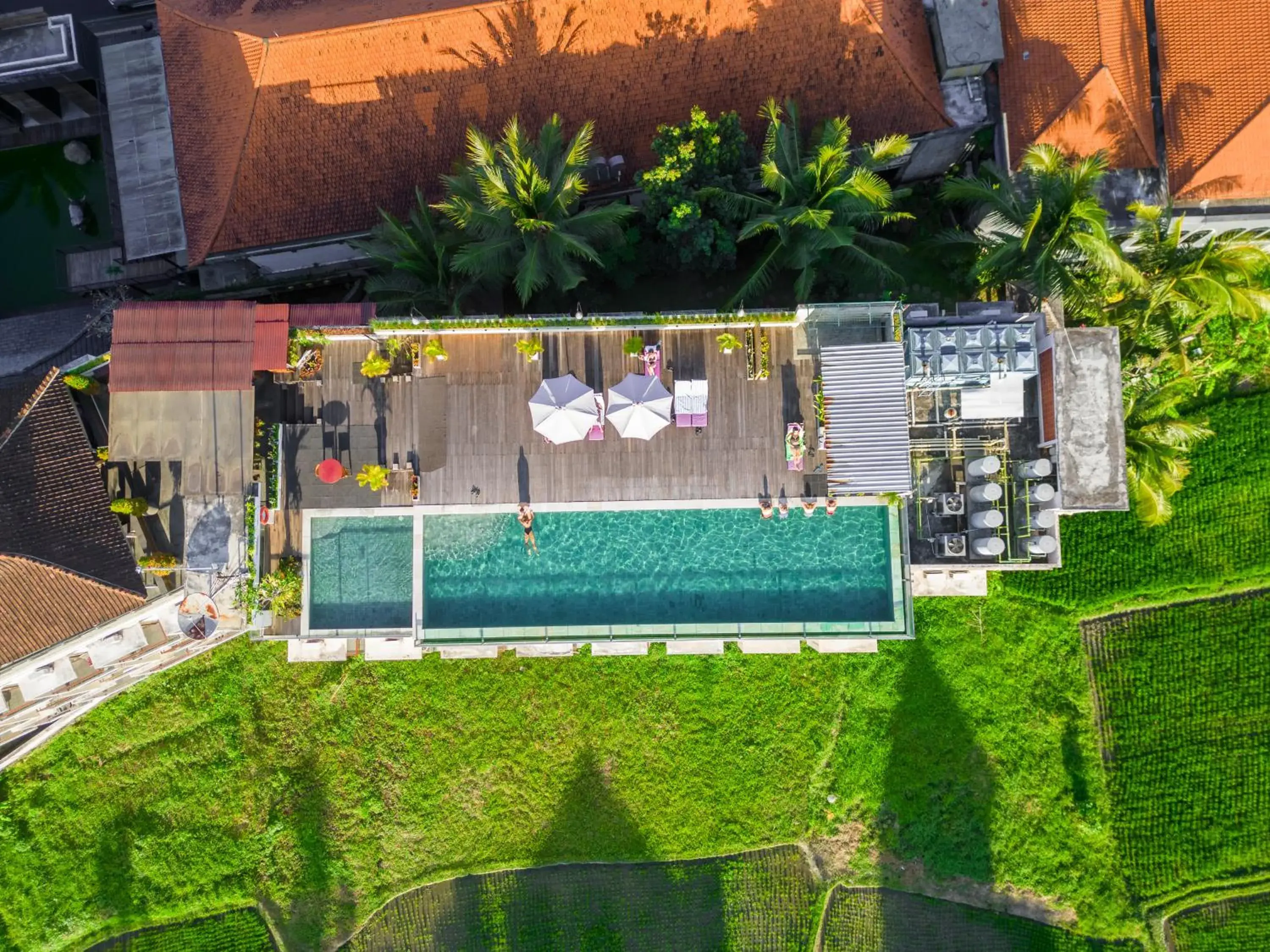 Pool View in The Evitel Resort Ubud