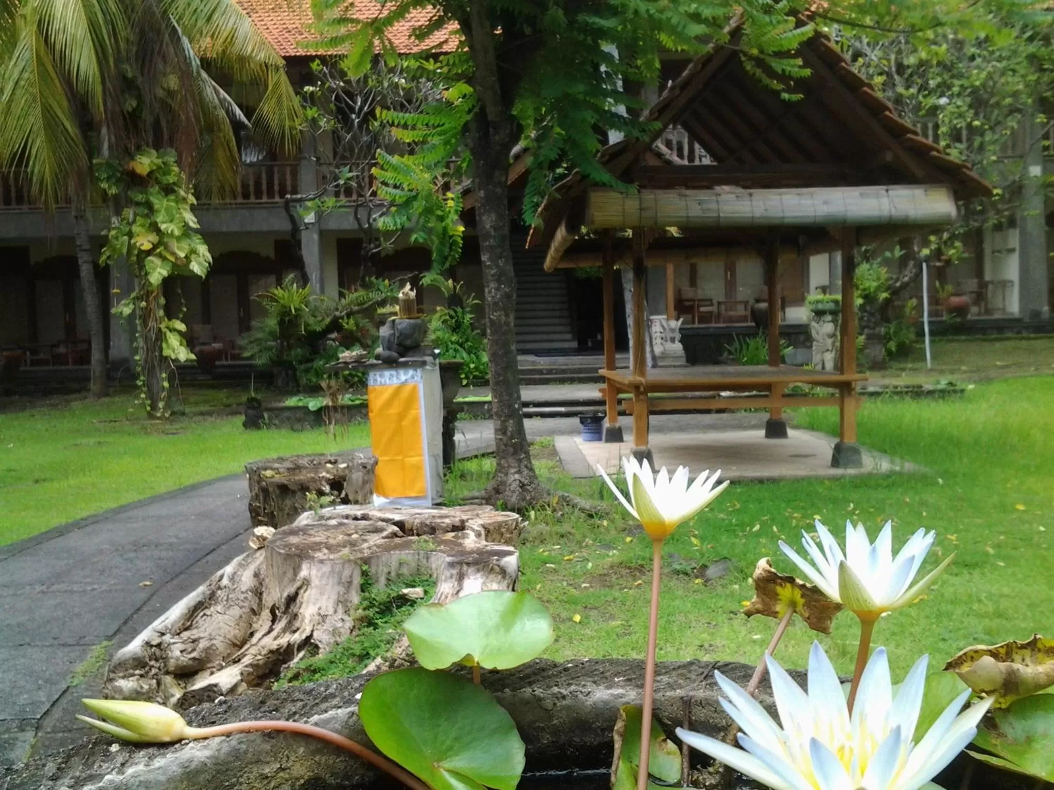 Swimming Pool in Nirwana Sea Side Cottages