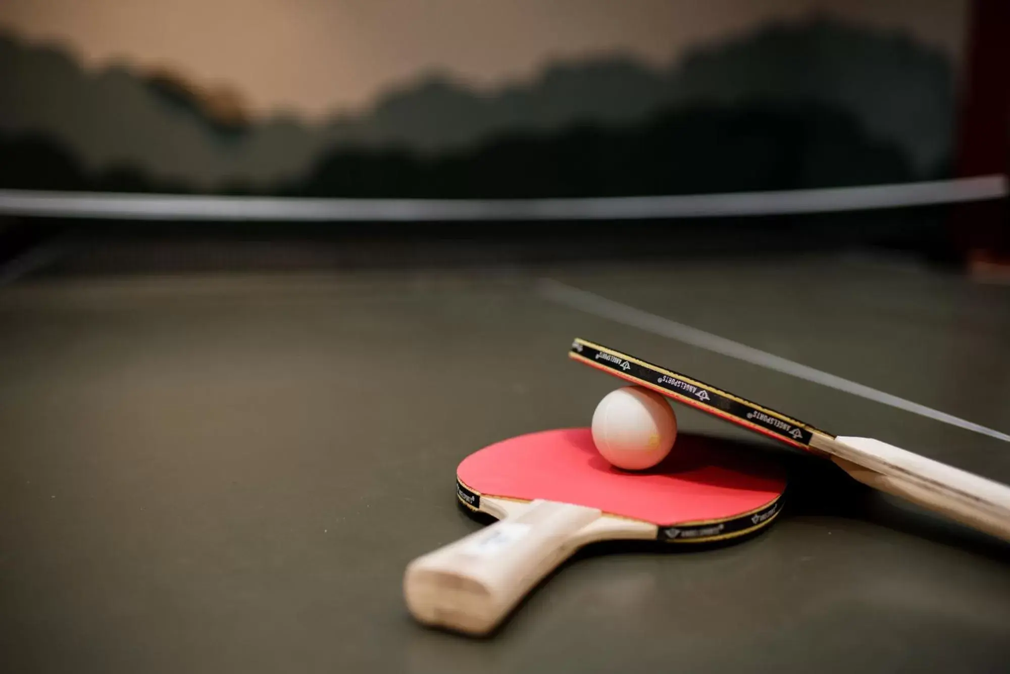 Table tennis, Billiards in Hotel 't Paviljoen