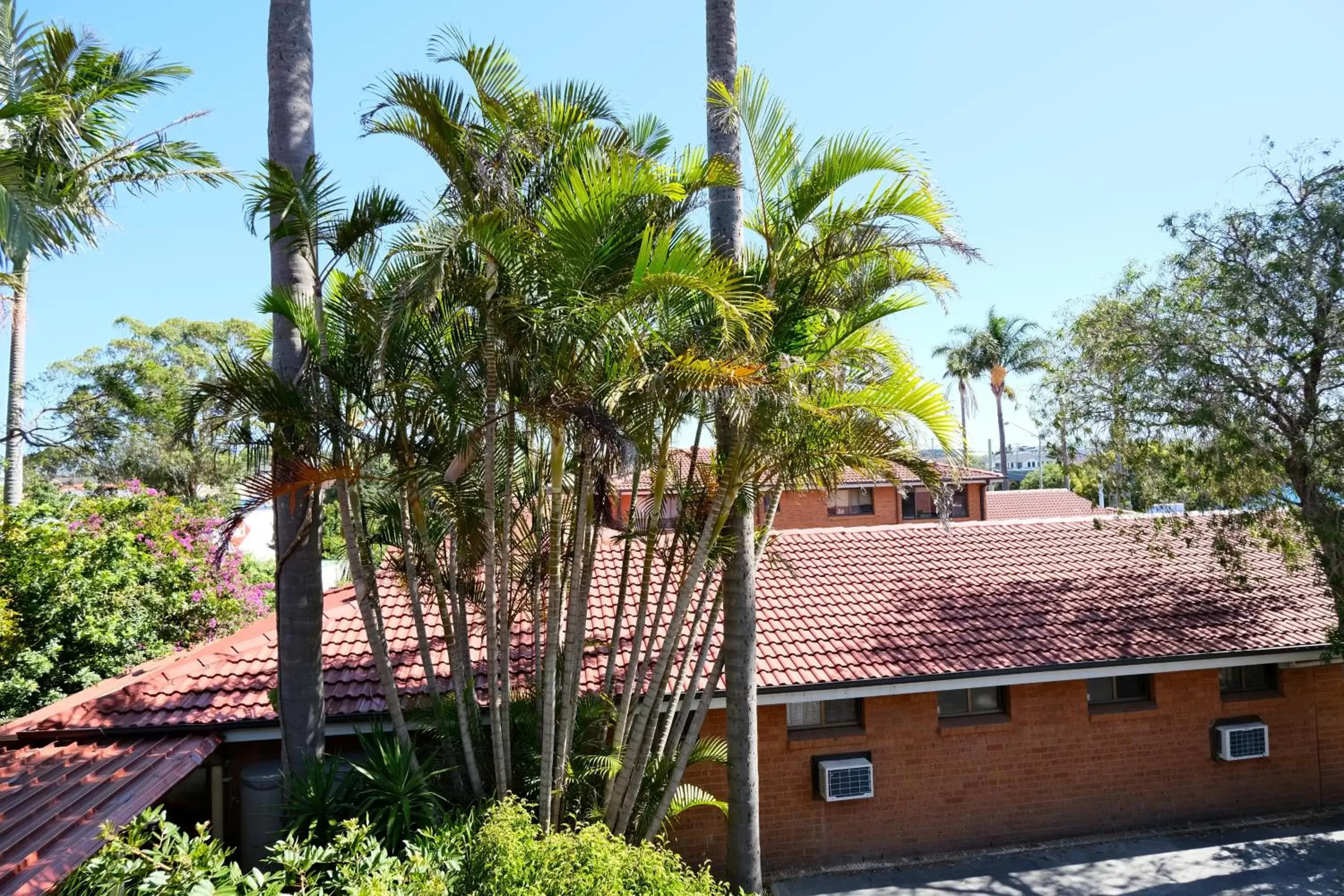Garden view in Sapphire Palms Motel