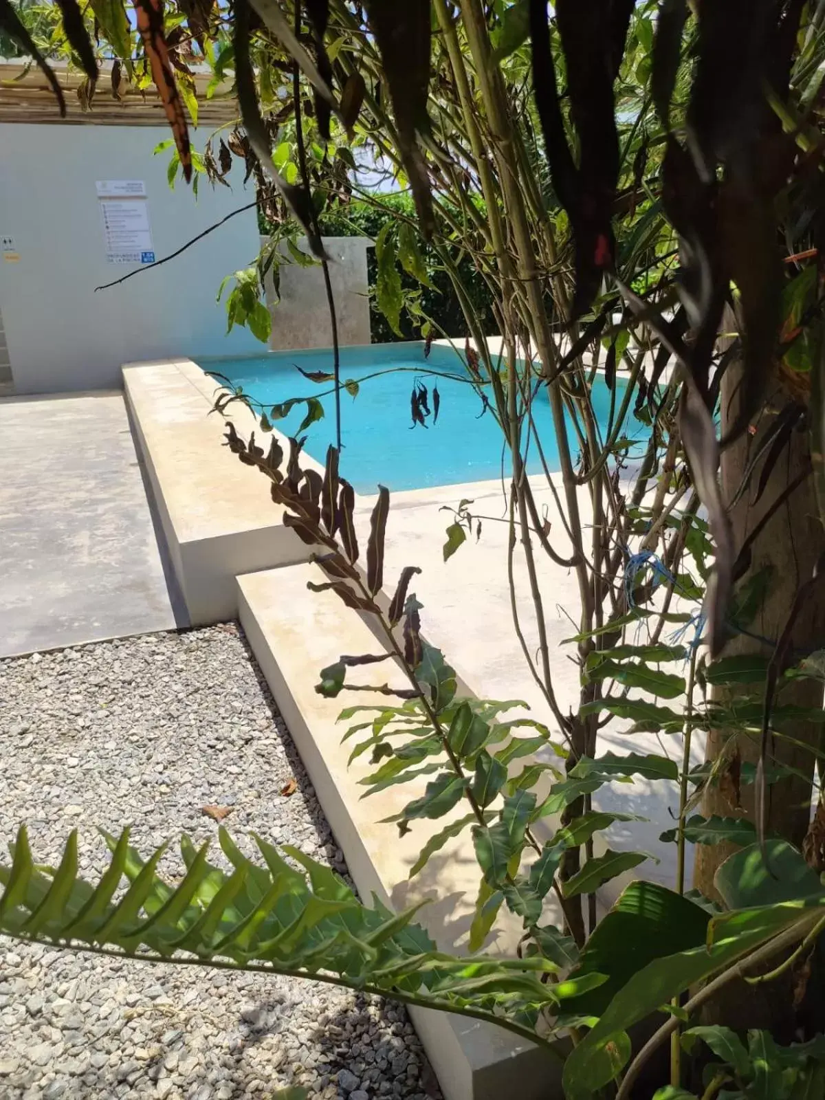 Swimming pool, Pool View in Residencia El Balatà