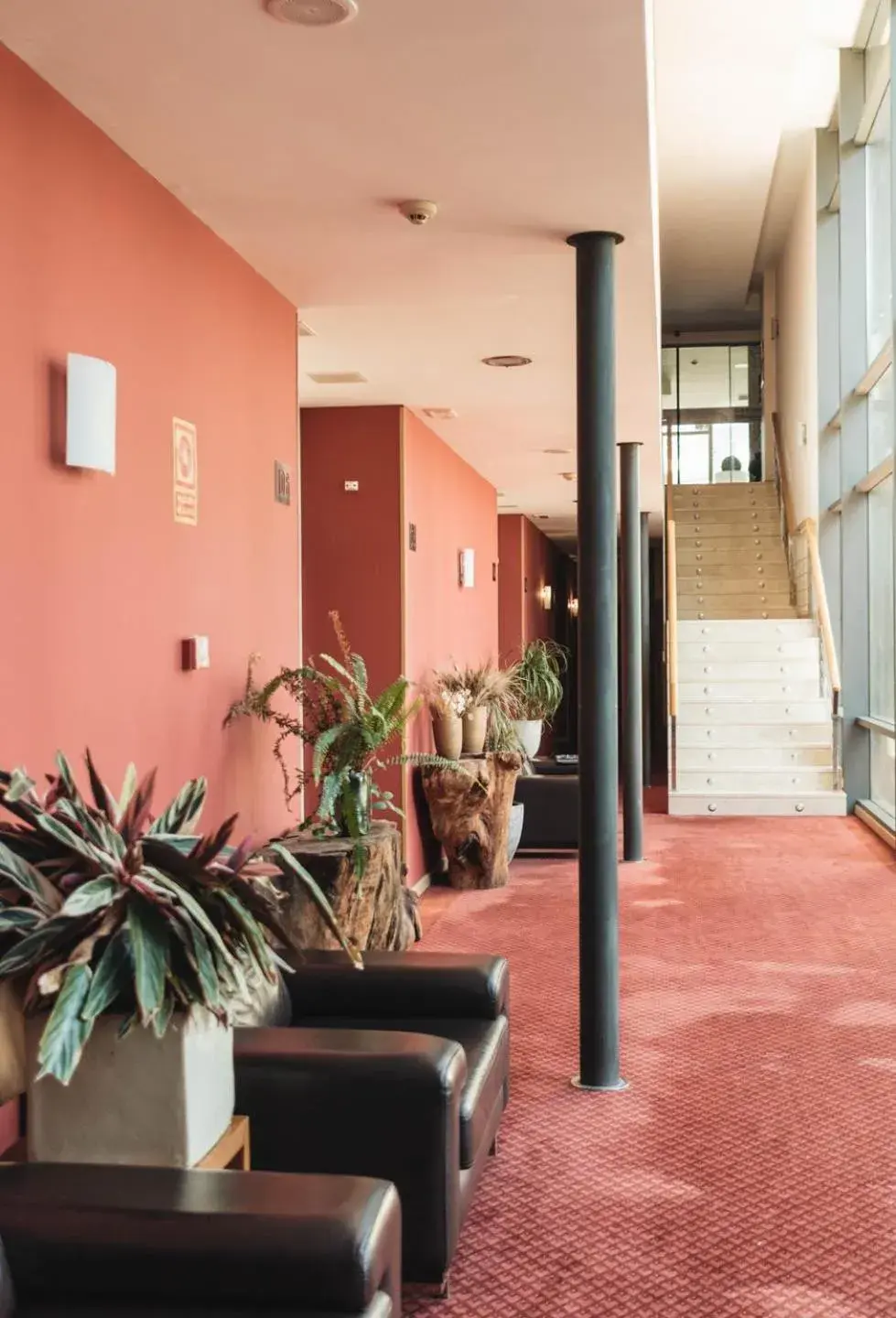 Area and facilities, Lobby/Reception in Hotel Peregrina