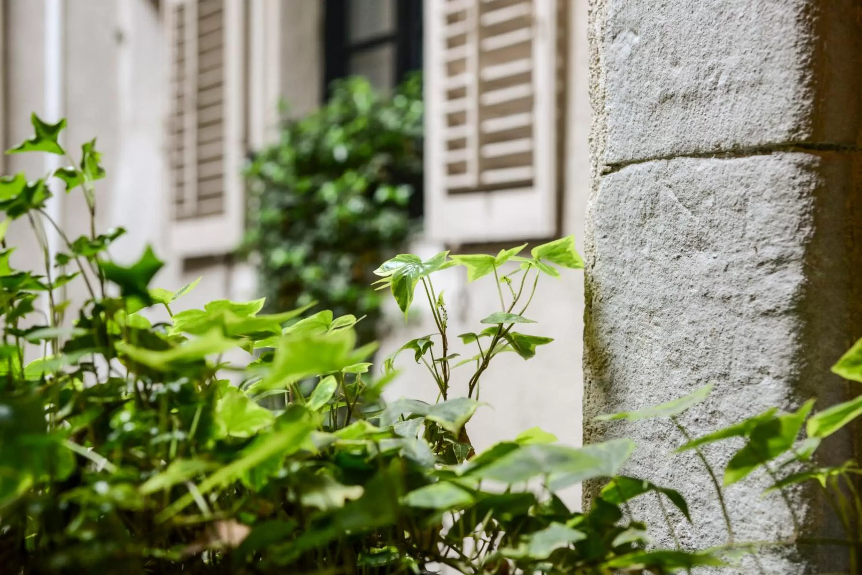 Decorative detail, Property Building in Petit Hôtel Confidentiel