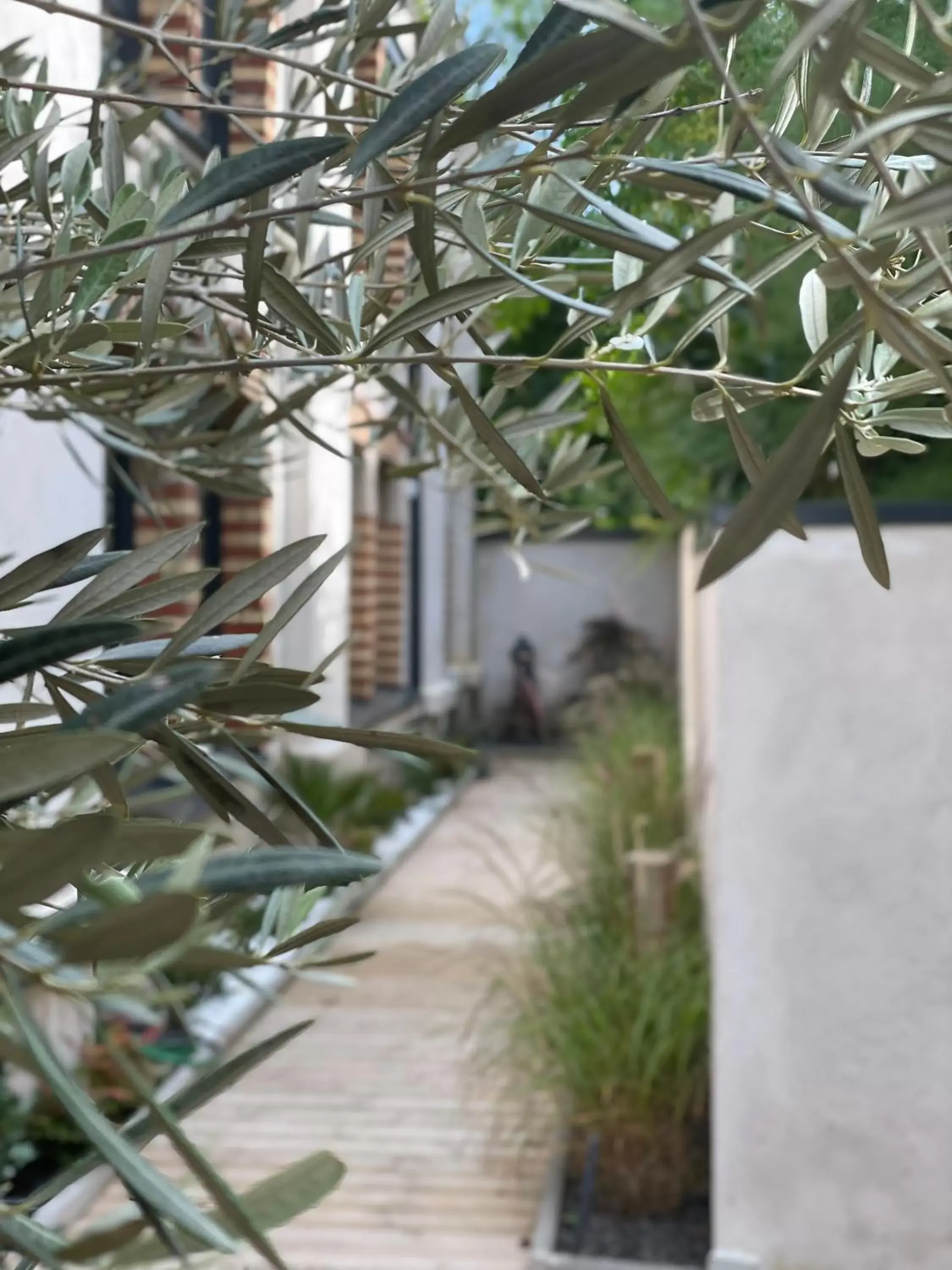 Garden in Maison d'hotes L'atelier du Charmois