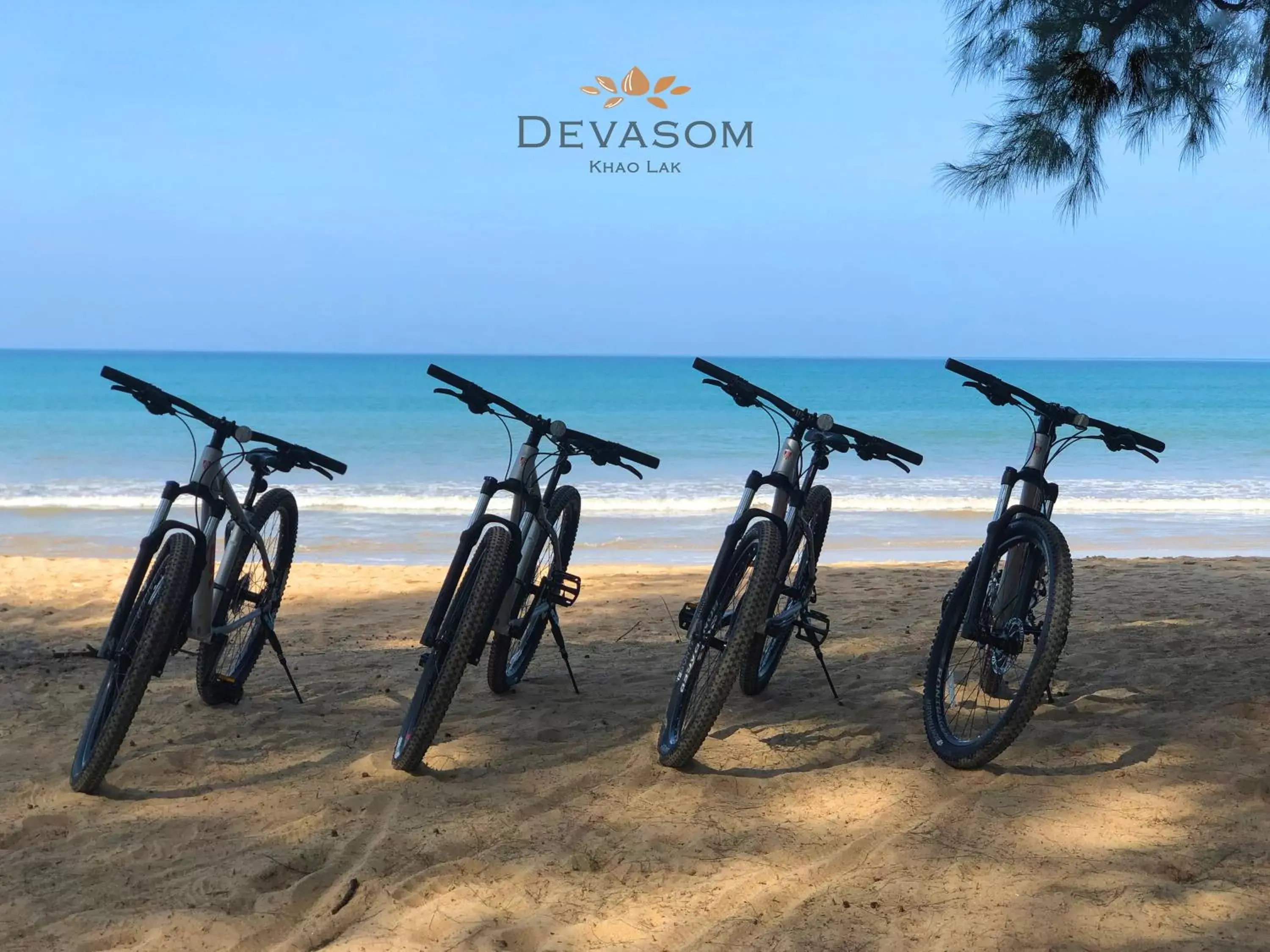 Cycling in Devasom Khao Lak Beach Resort & Villas