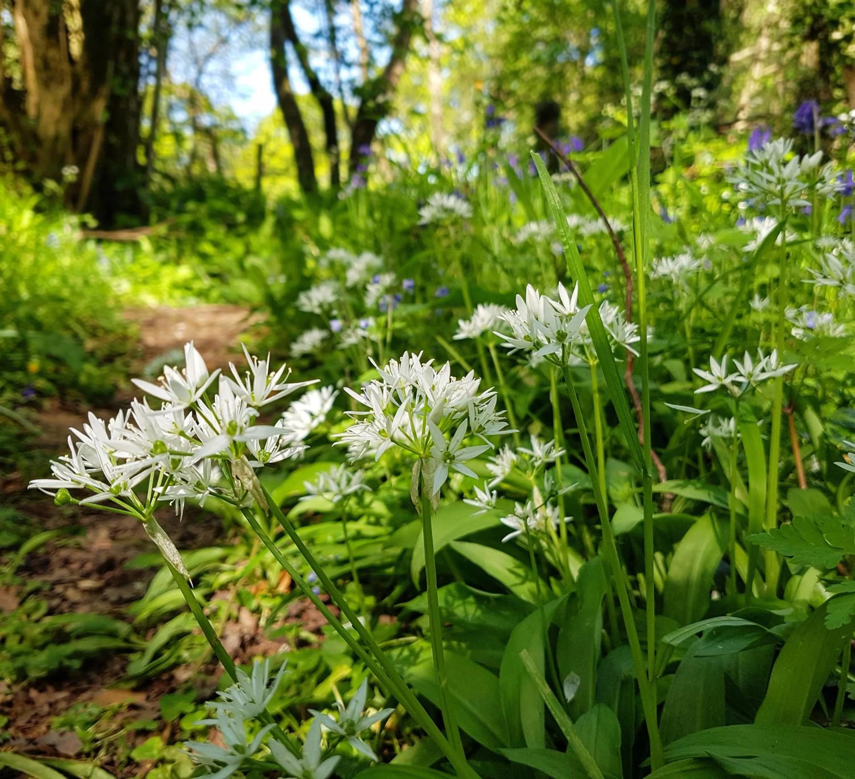 Other in Wildwood B&B