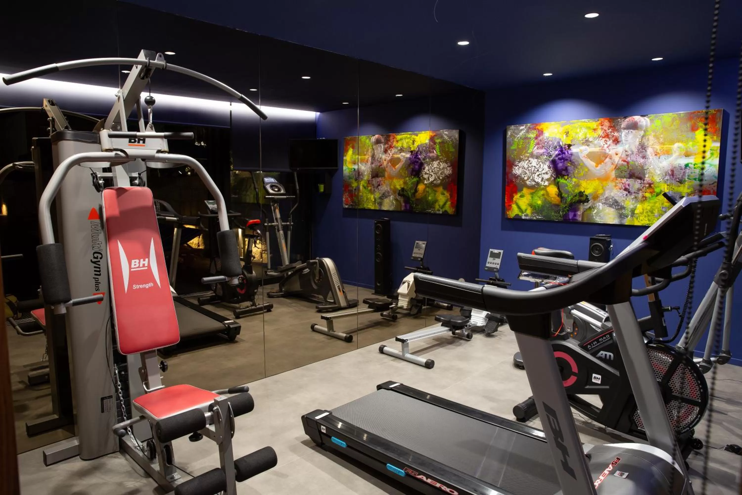 Fitness centre/facilities in Vale de São Torcato Hotel Rural