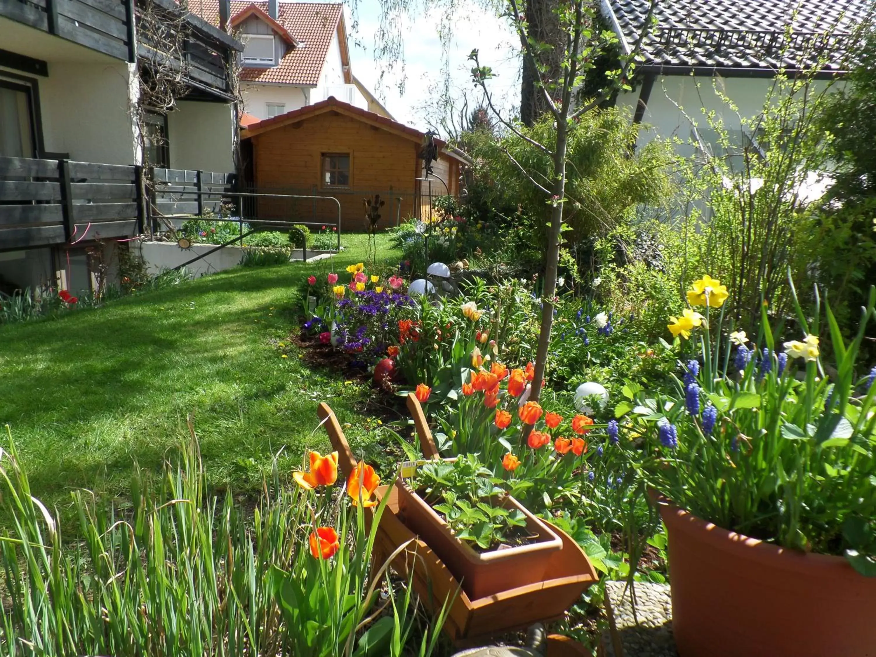 Garden in Hotel Brandl