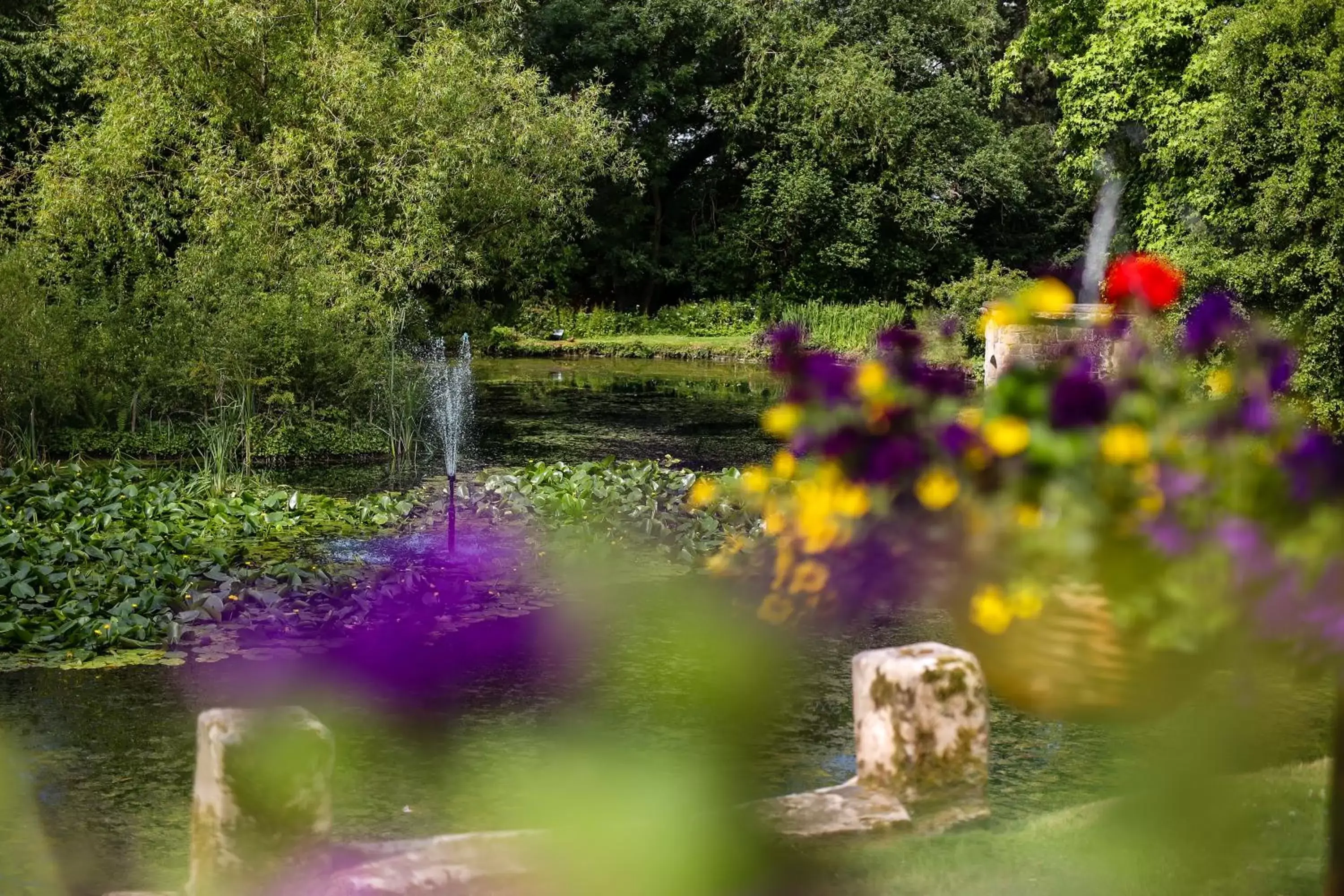 Lake view in Mercure Shrewsbury Albrighton Hall Hotel & Spa