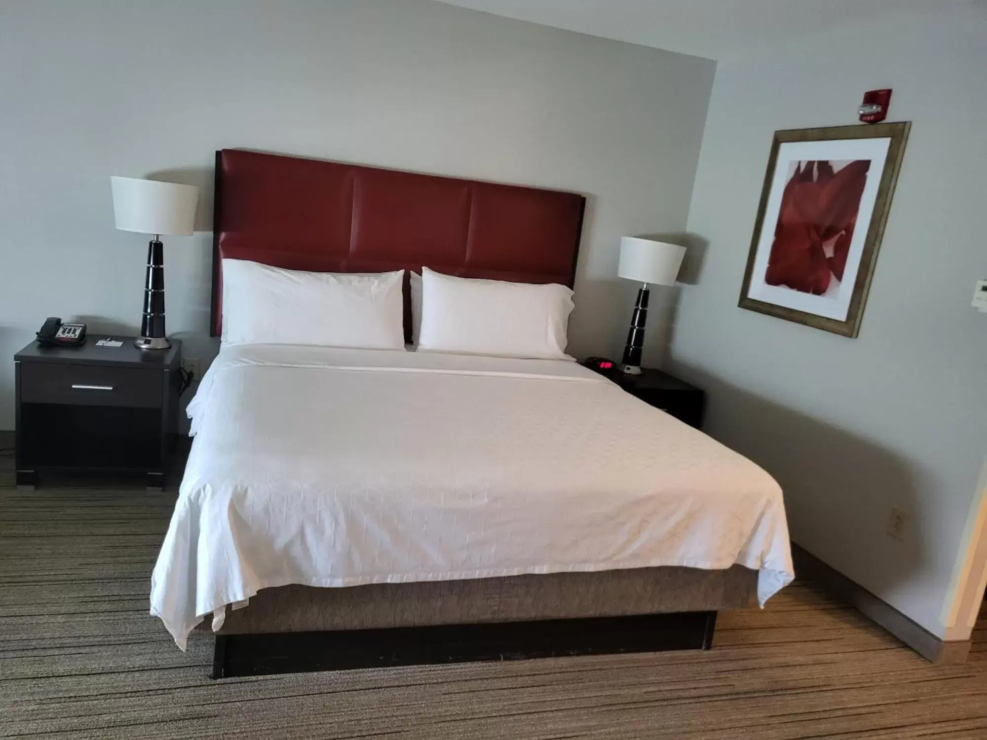 Bedroom, Bed in Holiday Inn Express & Suites - Smithfield/Selma, an IHG Hotel