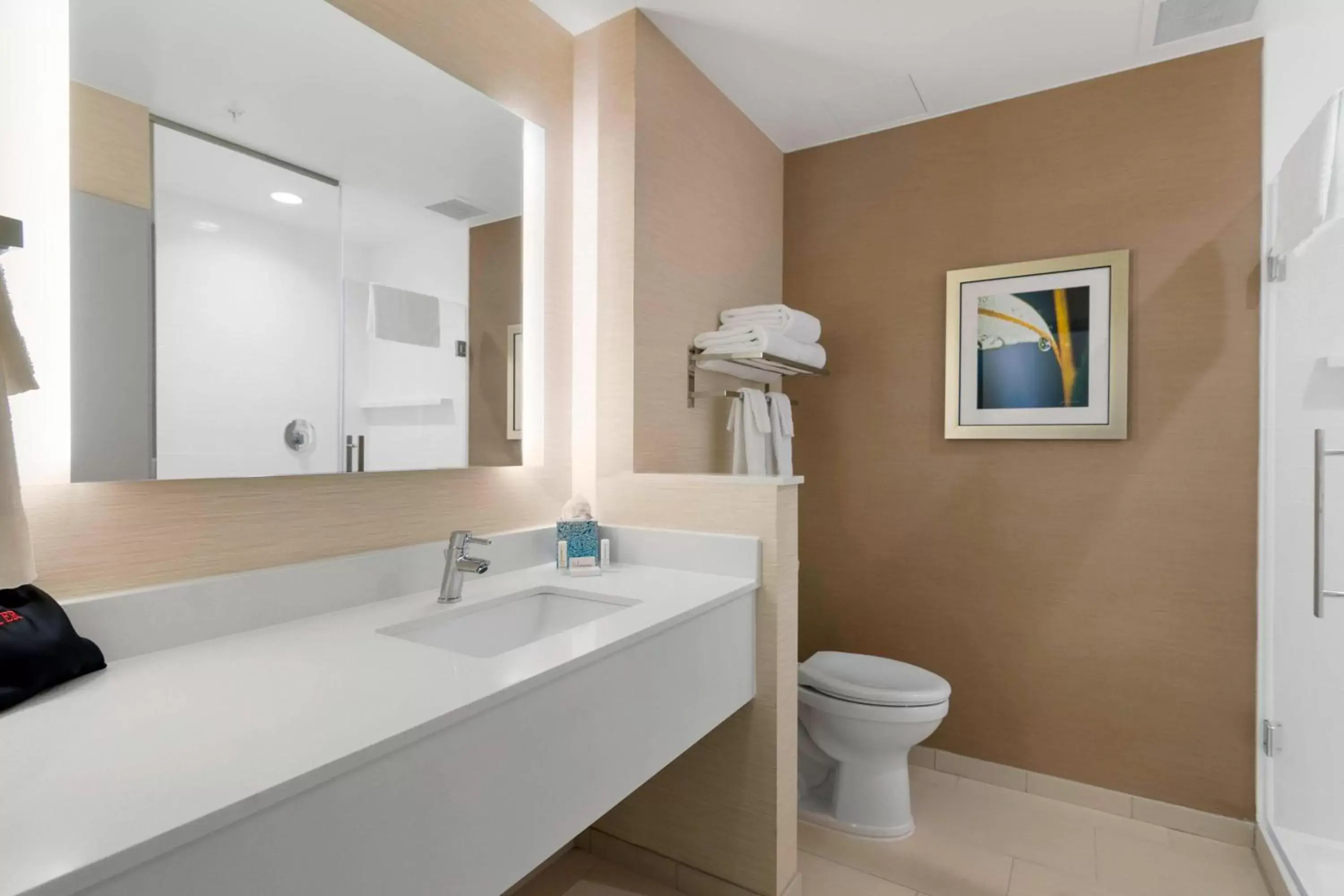 Bathroom in Fairfield Inn & Suites by Marriott St Petersburg North