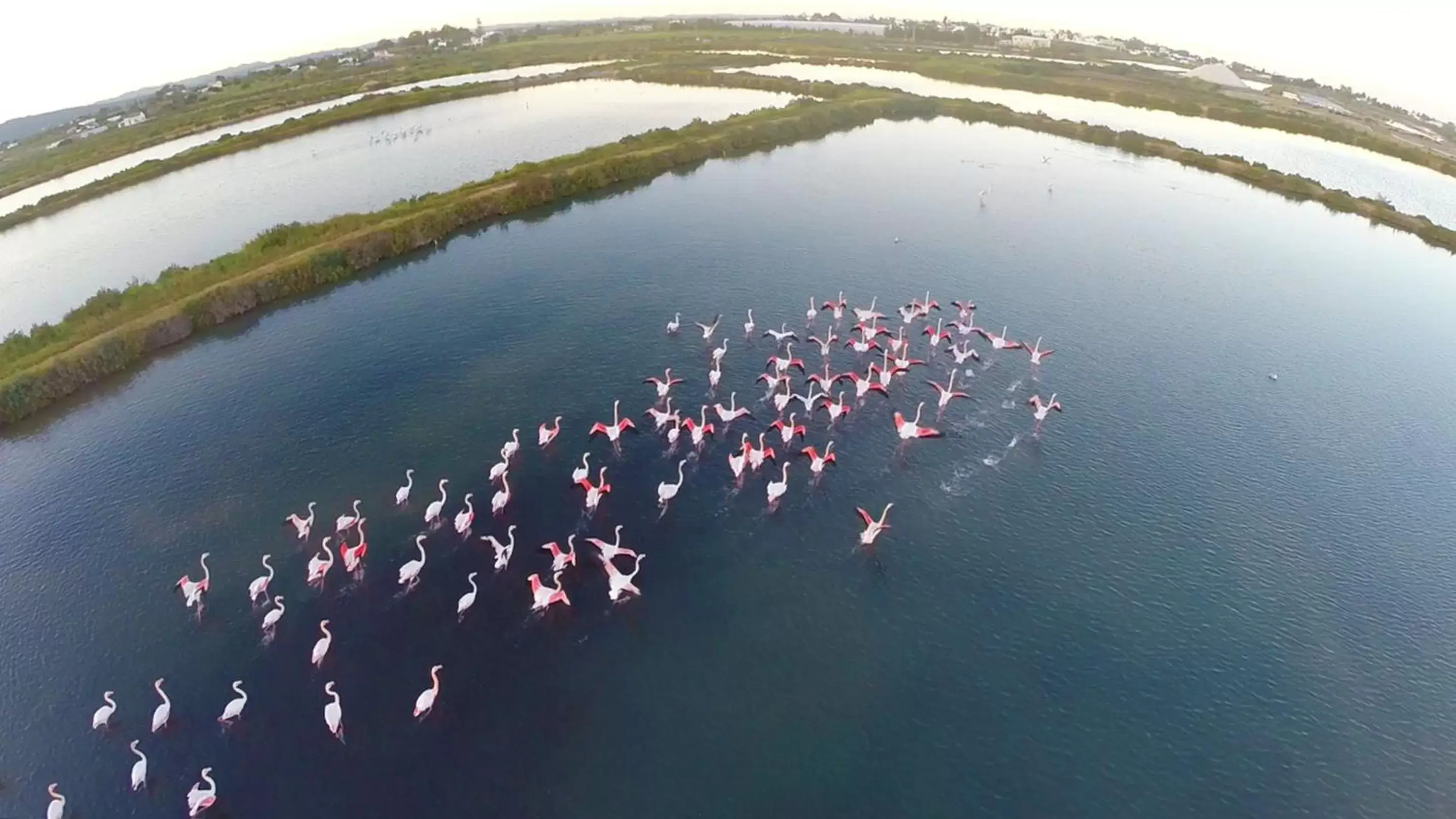 Nearby landmark, Bird's-eye View in Real Marina Hotel & Spa