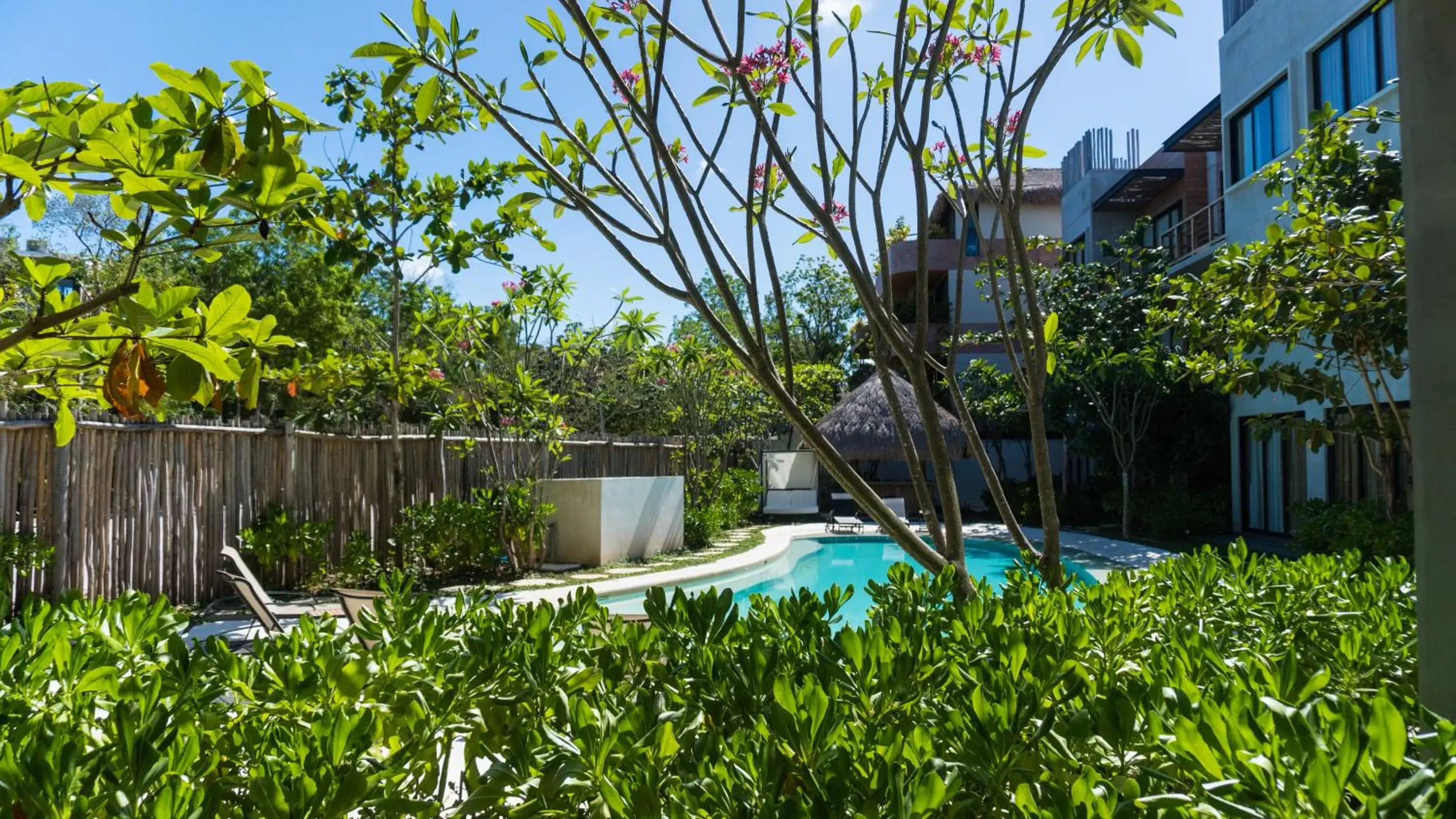 Swimming Pool in Luxury Condos Macondo Tulum