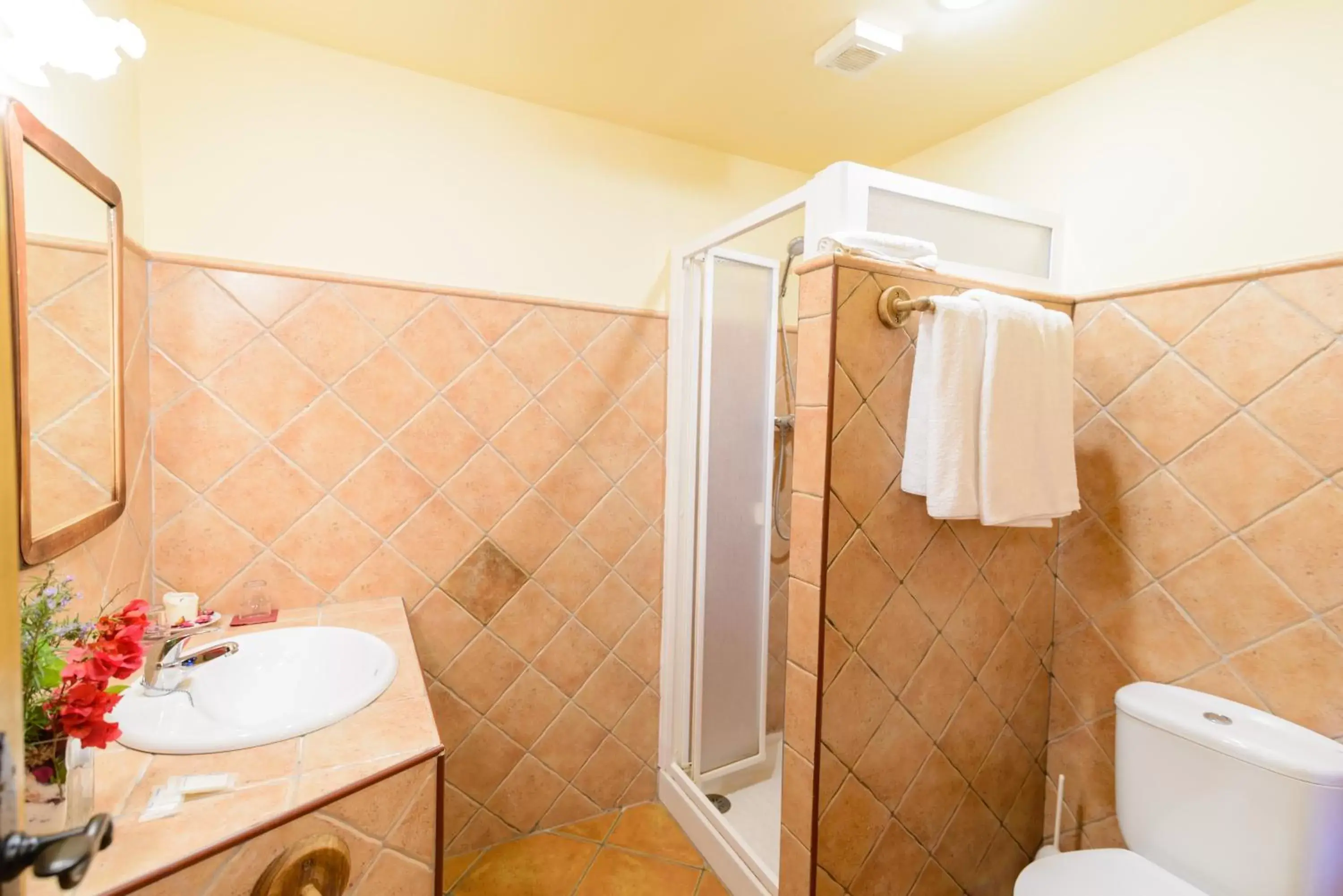 Bathroom in Hotel Rural Sierra Tejeda