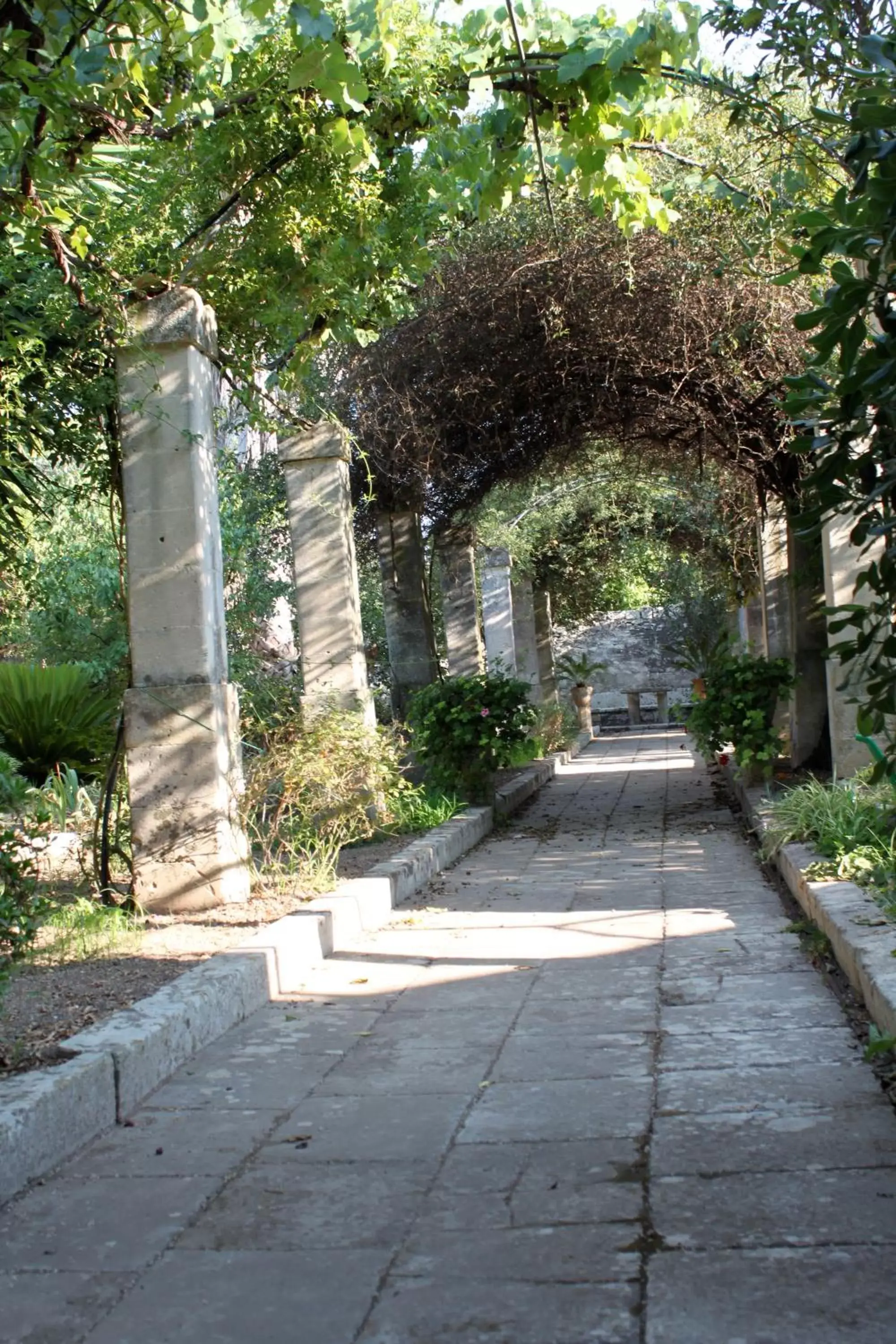 Garden in Dimora Storica ''Casa Sicuro''