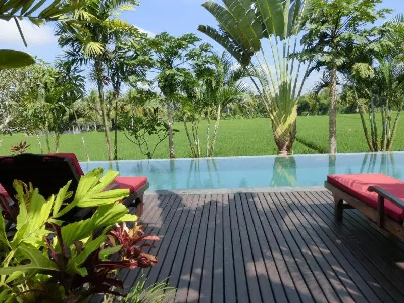 Swimming Pool in Bali Harmony Villa