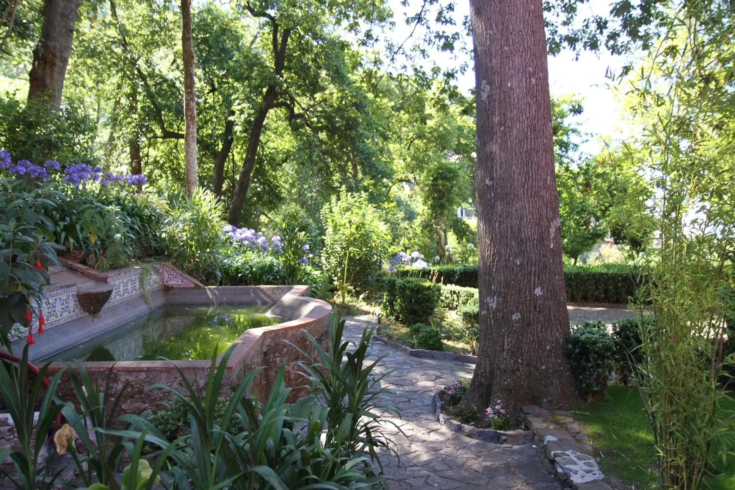 Garden in BIO Hotel - Hotel Quinta da Serra