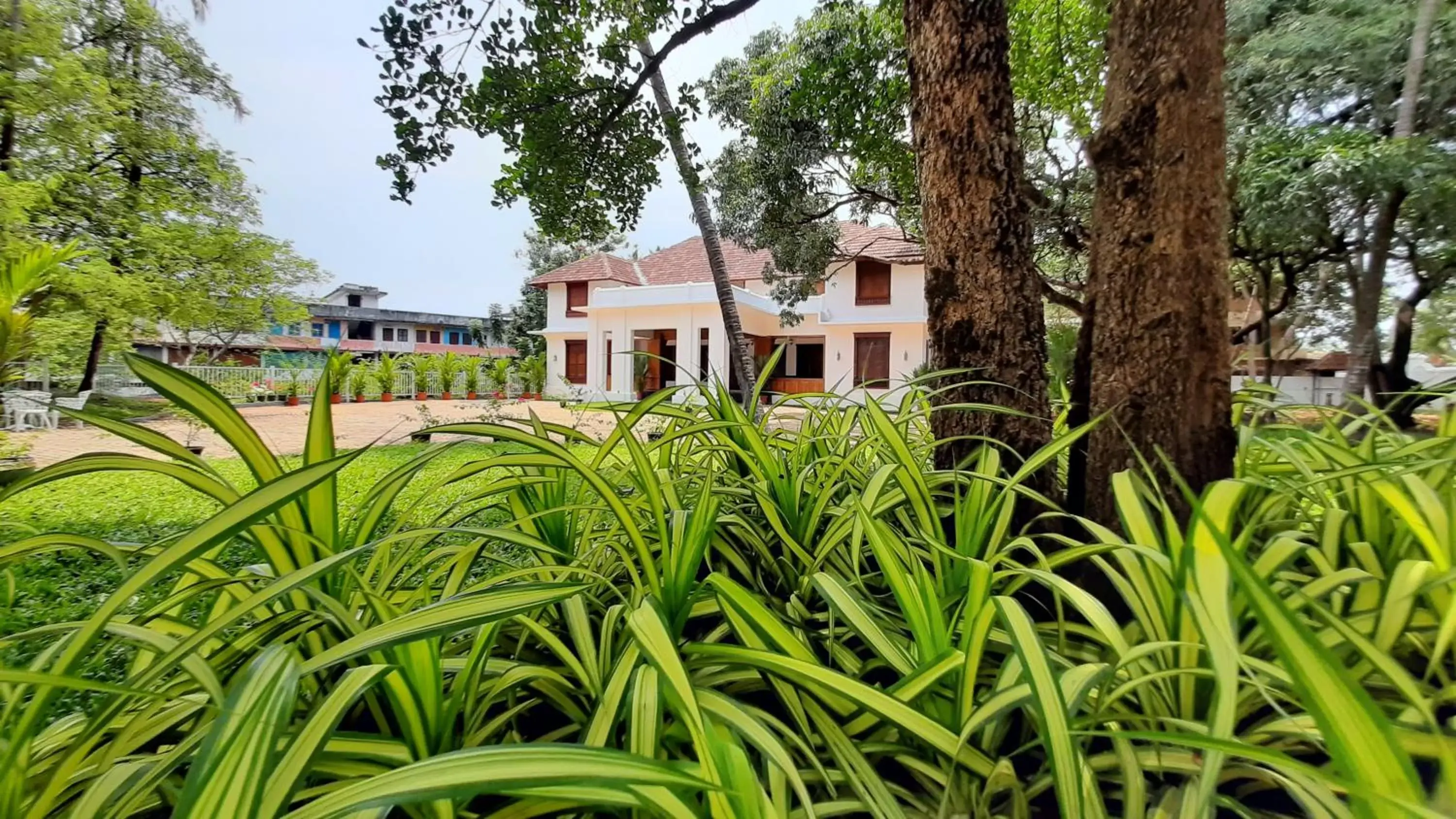 Property building in Surya Heritage Hotels Property building in Surya Heritage Hotels