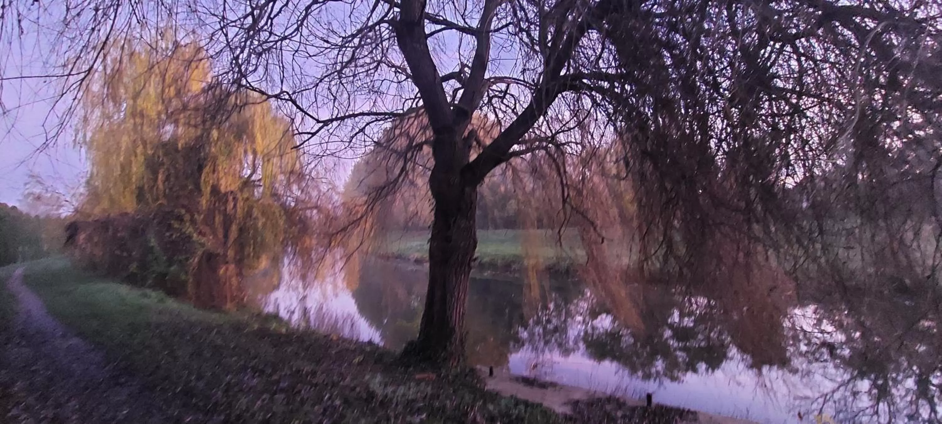 View (from property/room) in Hotel Panorama