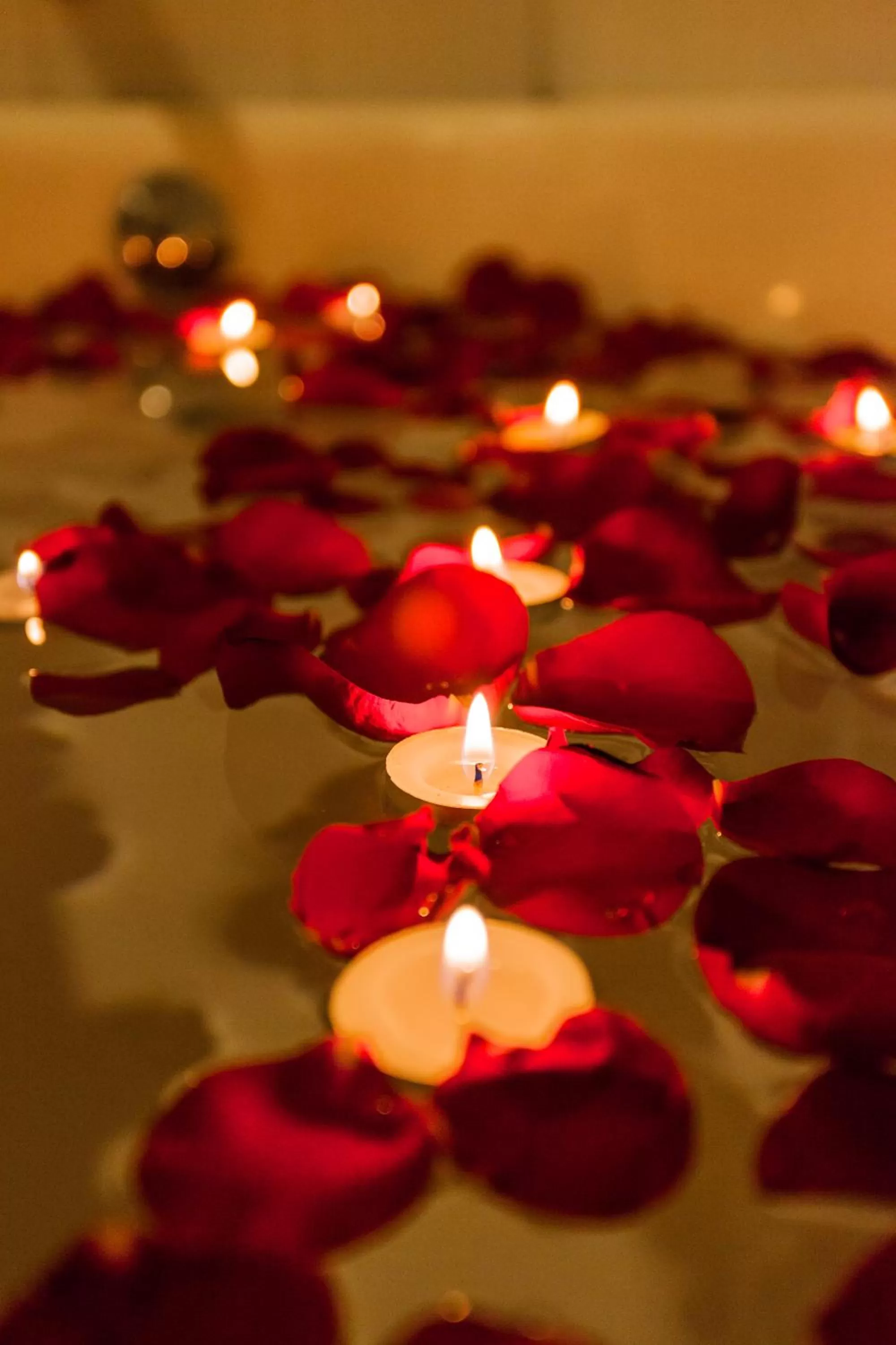 Spa and wellness centre/facilities in Fenix Hotel