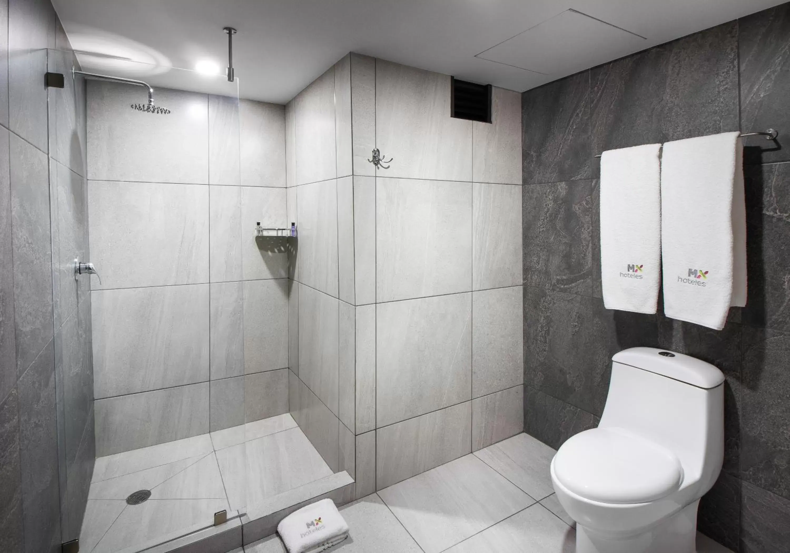 Toilet, Bathroom in Hotel MX lagunilla