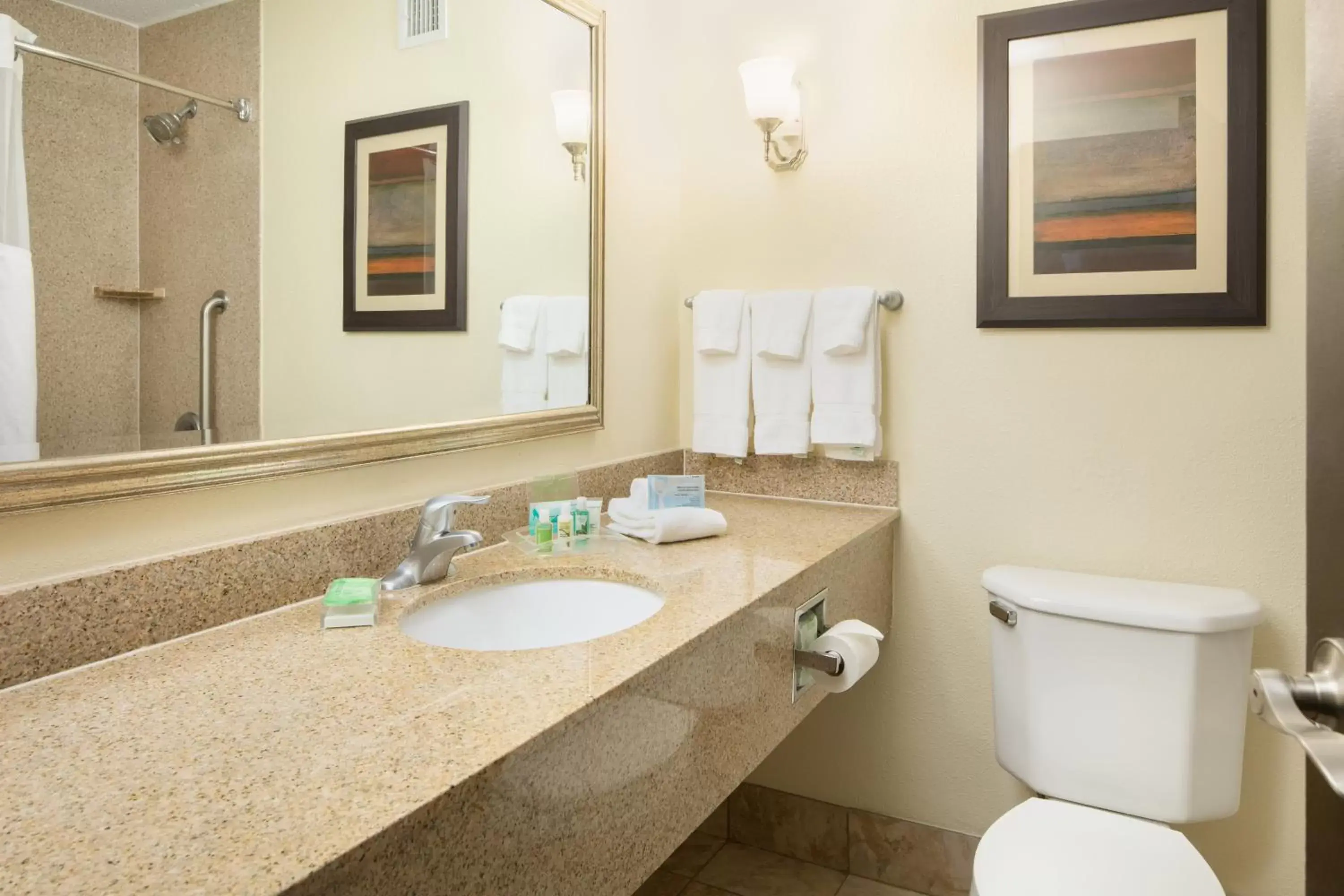 Bathroom in Holiday Inn and Suites Charleston West, an IHG Hotel