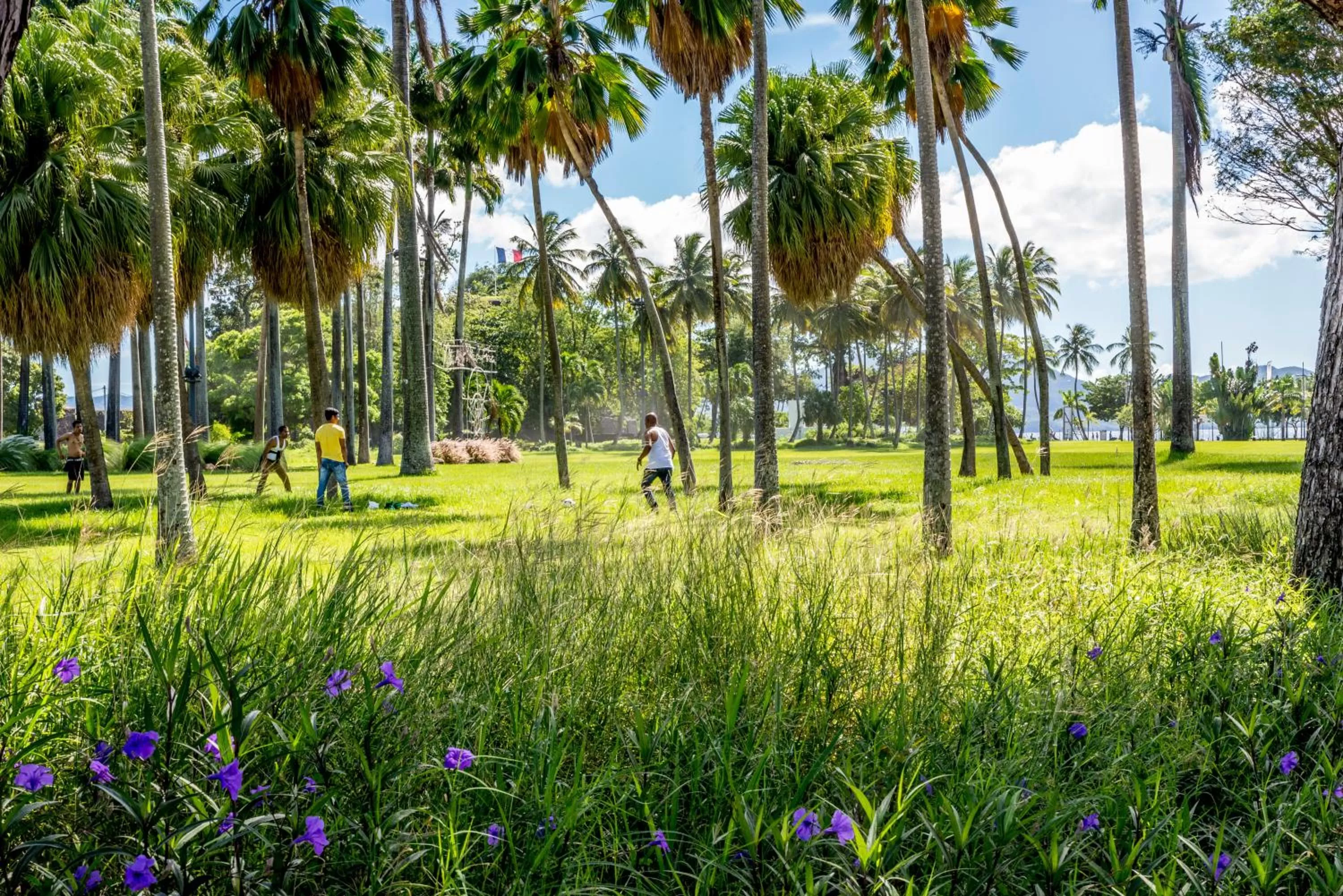 Nearby landmark in Residence Fort Savane