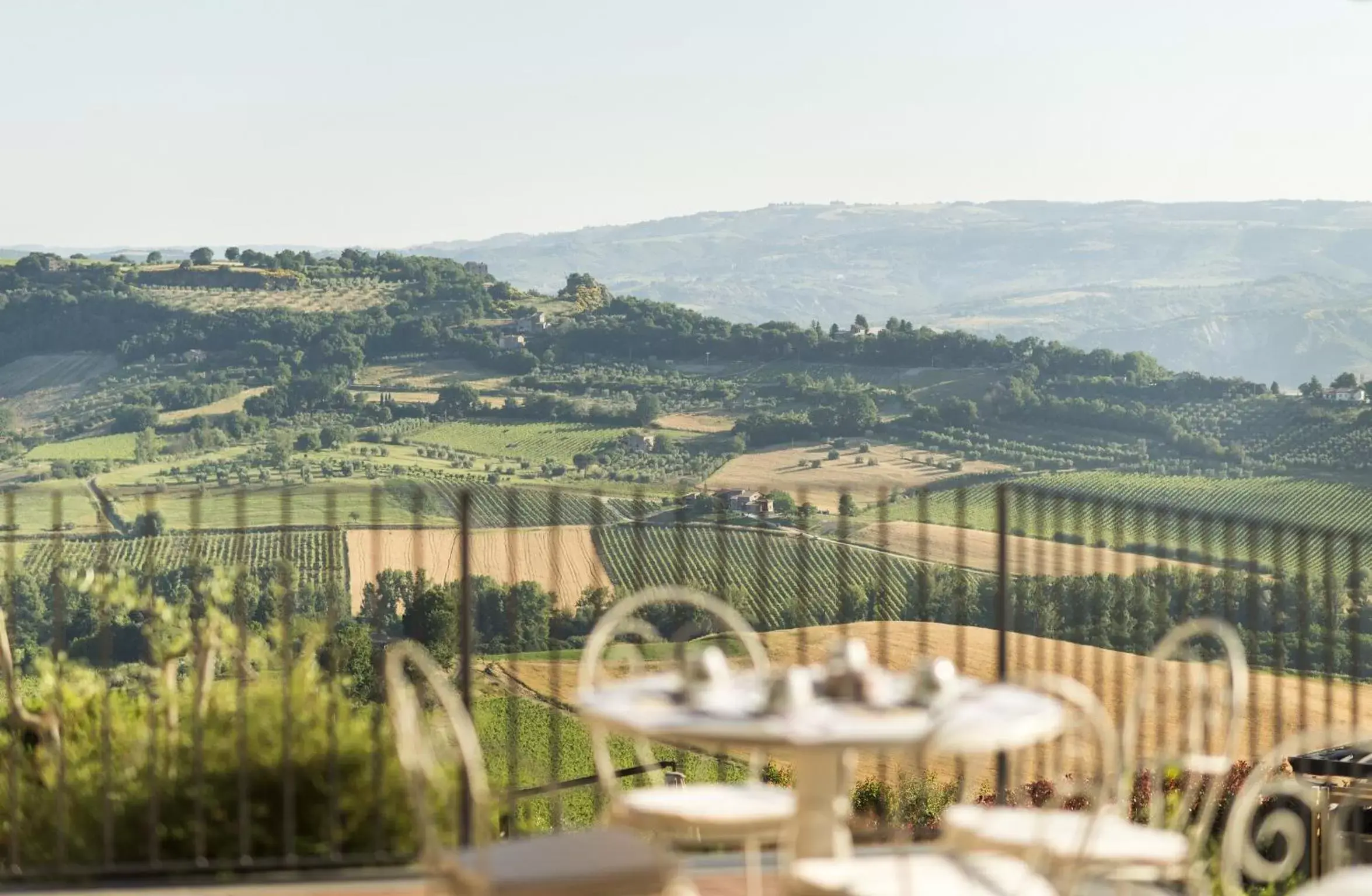 View (from property/room) in Altarocca Wine Resort Adults Only